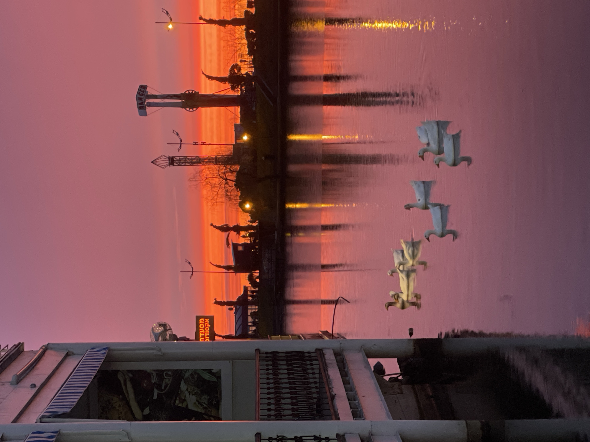 An outdoor scene in Batumi, Georgia, depicts a tranquil lake or pond at dusk or dawn. The sky presents a vibrant gradient, transitioning from deep pink in the upper frame to intense orange and red along the horizon.
On the far left, a multi-story white building with a striped blue and white awning partially obstructs the view. An ornate dark metal railing is visible on what appears to be an elevated walkway or balcony of this structure. Dark support pillars descend from the building into the water.
The lower half of the frame is dominated by a placid body of water, which reflects the sky's colors, appearing predominantly pink and purple. Eight white domestic geese or large ducks are swimming on the water. They are distributed in two clusters: five birds are positioned towards the center-left, and three are further right, with one slightly separated. Their forms create subtle ripples and faint reflections.
The far bank, visible as a silhouette against the vivid sky, features structures suggestive of an amusement park or entertainment area. These include several tall, dark tower-like structures, one of which prominently displays the word "RANGER" at its apex. Interspersed among these structures are the dark silhouettes of bare trees. Multiple warm-toned lights illuminate the far bank, casting distinct, elongated reflections across the water's surface. A lit sign with Hebrew text, "מסעדה אקזוטיק" (Exotic Restaurant), is visible in the middle-ground, behind the water and in front of the far bank structures.