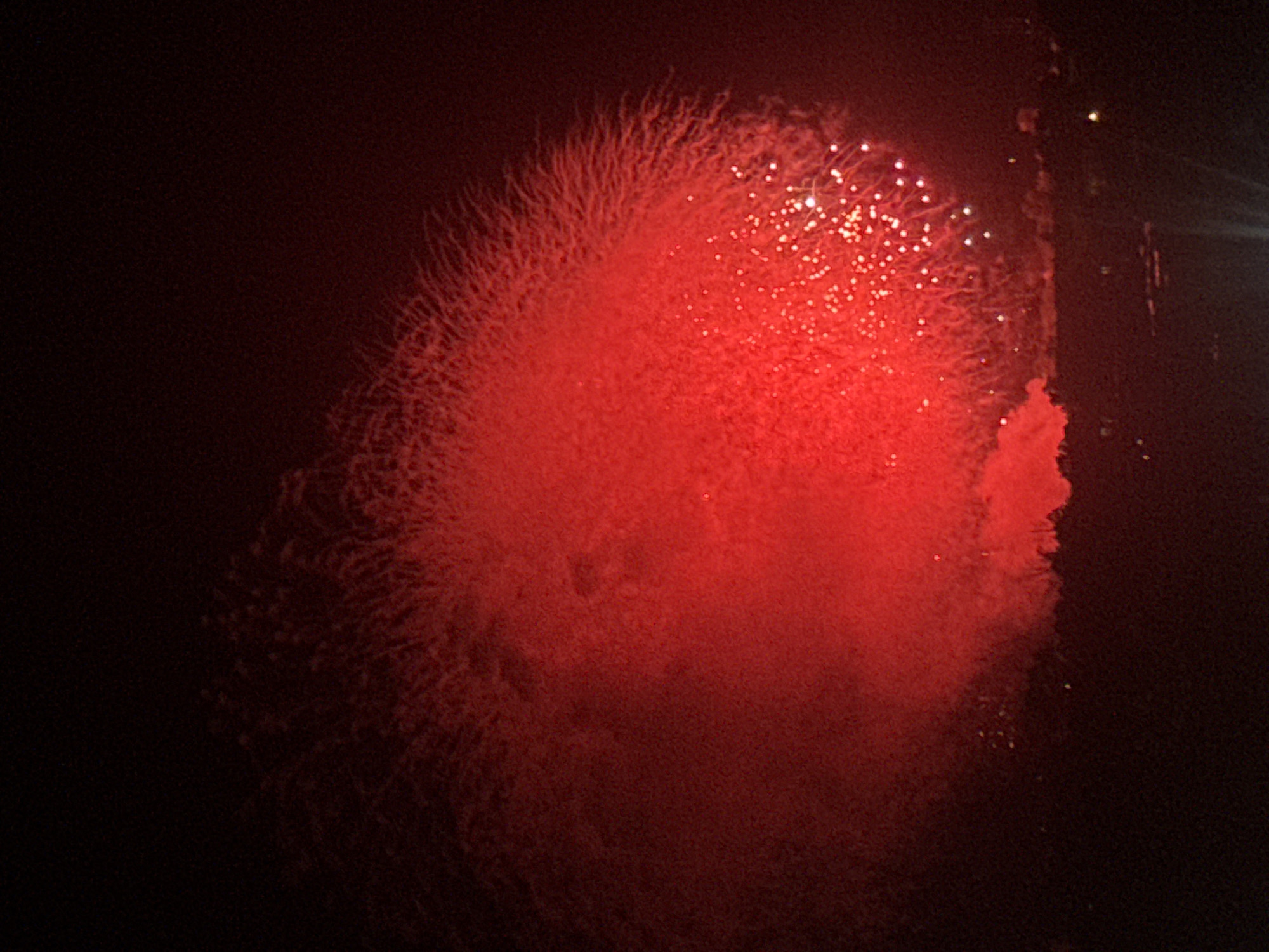 The image captures a vibrant red firework exploding in the night sky over Ottawa, Canada. The firework's bloom is large and diffuse, with a dense cloud of red smoke and countless glowing sparks radiating outwards. The lower portion of the image shows a dark silhouette of the Ottawa cityscape, with faint lights suggesting buildings and possibly water. The overall impression is one of a celebratory event, likely Canada Day or a similar festival, occurring in the urban environment of Ottawa.