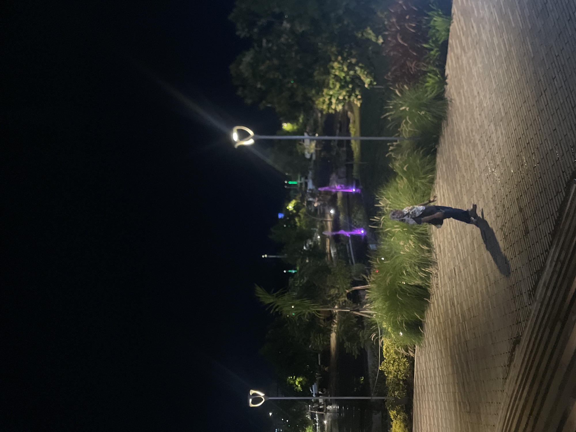 At night in an unknown location, a walkway lined with tall grass and palm trees leads towards a park area with decorative lighting and a fountain. A person in a patterned shirt and dark pants is standing on the walkway near the grass. The walkway is brick or stone. Light posts with curved arms illuminate the scene. Beyond the trees, colorful lights highlight the fountain area. The sky is dark.