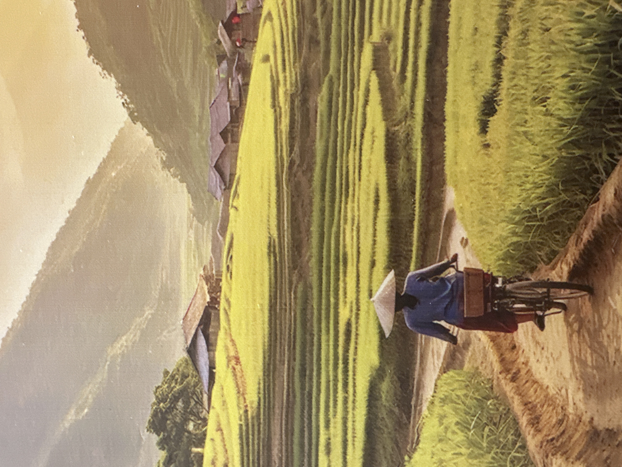 The image depicts a rural landscape in Xóm Khán, Vietnam, characterized by lush, terraced rice paddies cascading down hillsides. The scene is bathed in the warm, golden light of either sunrise or sunset, casting long shadows and highlighting the contours of the land. In the foreground, a person wearing a conical hat and a blue shirt rides a bicycle along a dirt path. The bicycle has a wooden basket attached to the rear. The path is bordered by vibrant green rice stalks. Further in the distance, several traditional houses with dark roofs are nestled among the terraces, suggesting a small village community. The background is dominated by rolling hills and mountains, their slopes covered in vegetation and the intricate patterns of the rice terraces. The overall atmosphere is serene and idyllic, conveying a sense of peaceful rural life.