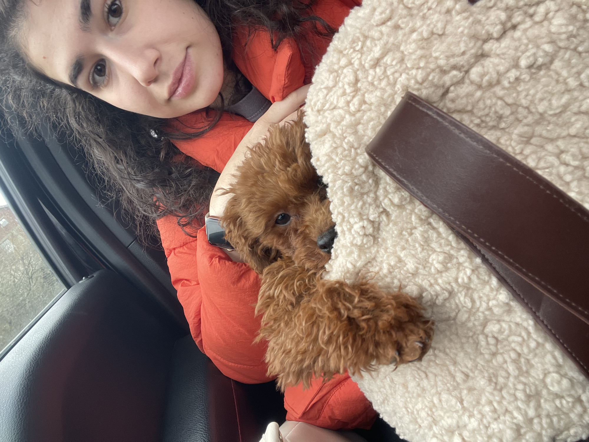 A selfie taken in a car interior, showing a woman with dark curly hair wearing an orange puffer jacket. She is holding a small, reddish-brown poodle puppy nestled in a fluffy, cream-colored carrier bag with a brown leather strap. The car's interior is visible, including the black leather upholstery and a glimpse of the outside scenery through the window, which appears to show a cloudy sky and buildings. While it's impossible to verify the location as Batanovtsi, Bulgaria from the image alone, the scene appears to be a typical urban or suburban environment.