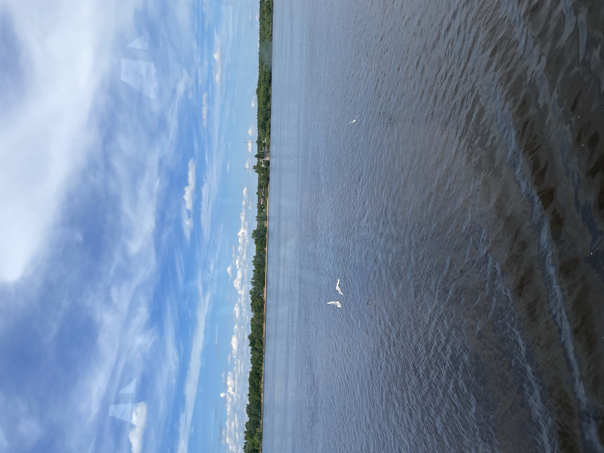 The image presents a wide outdoor vista, dominated by a large body of water, a distant tree-lined shore, and an expansive sky. The photo appears to have been taken from an elevated position, possibly through a window, as indicated by faint, geometric reflections visible in the upper sky.
The sky, filling approximately one-third of the frame, is a clear blue adorned with scattered white clouds. These clouds range from delicate, wispy formations to more substantial, fluffy cumulus types, suggesting fair weather.
The central and most prominent feature is a vast body of dark blue-grey water, likely a river or large lake, stretching horizontally across the scene. Its surface is textured with visible ripples and small waves, reflecting the light in varying shades. Three white birds, probably gulls, are captured in flight over the water. One is in the foreground, another further back, and a third appears as a distant speck.
A narrow, distant shoreline forms a distinct horizontal line where the water meets the sky. This bank is densely forested with green trees, creating a continuous natural barrier. Within this tree line, a few indistinct structures or buildings can be observed, along with what might be a light-colored strip of land, possibly a small beach or riverbank.
The scene depicts a bright, sunny day, likely during late morning or afternoon. No visible text is present in the image. Given the location context of Perm, Russia, this could be a view of the Kama River. The overall impression is one of peaceful natural beauty and vastness.