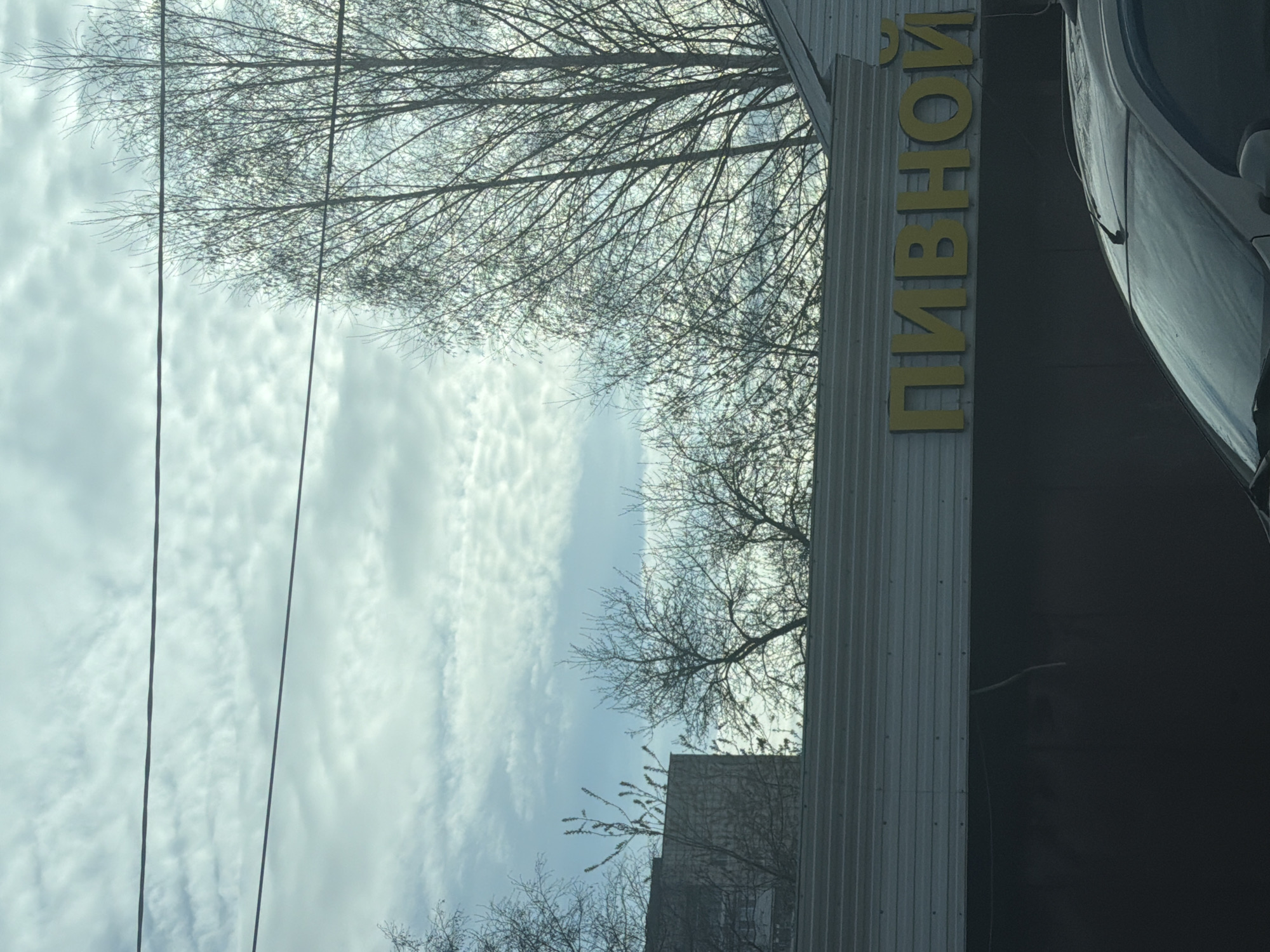 The image depicts a street scene in Chaikovsky, Russia. A gray metal building with the word "ПИВНОЙ" (Pivnoy, meaning "Beer" in Russian) in yellow block letters is visible. The sky is overcast with cirrostratus clouds and a few bare tree branches. Power lines are visible stretching across the sky. Part of a building appears in the lower portion. The side of a car is on the right of the frame.