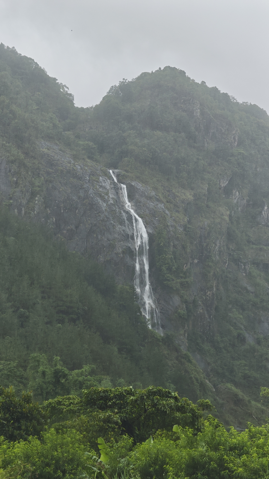A tall, thin waterfall cascades down a steep, rocky mountainside covered in dense, green vegetation. The sky is overcast. The location is likely Hồ Thầu, Vietnam. The image contains no people. The scene shows a natural environment with water flowing over rocks and foliage.