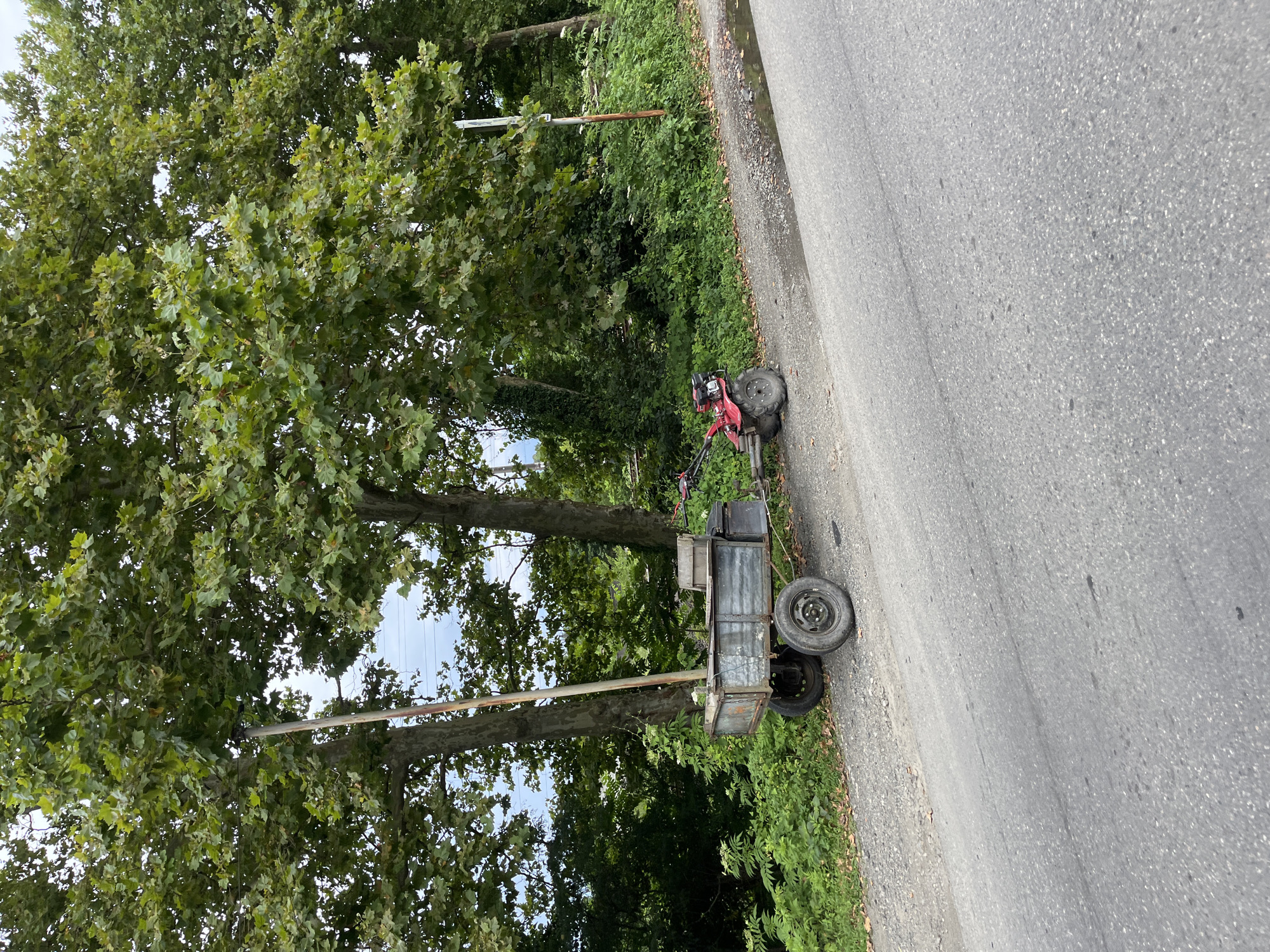 A two-wheeled trailer is parked on the side of a road in Ureki, Georgia. The trailer is made of metal and has a wooden seat. It is hitched to a red and black powered tiller. The trailer and tiller are situated on a gravel shoulder next to an asphalt road. Behind the trailer, there is a line of lush green trees with large leaves and a dense undergrowth of smaller plants. A tall wooden pole stands next to the trailer, with wires visible in the distance. The sky is overcast.