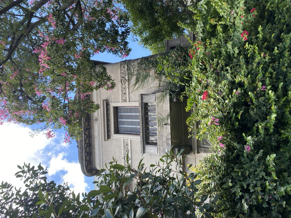 A multi-story classical-style building facade is partially visible through dense foliage under a partly cloudy blue sky. The structure features a light-grey stucco finish with an ornate cornice, dentil molding, and decorative friezes. A central rectangular window on the upper visible level displays closed light-colored louvered shutters. Below this, a concrete balcony with a plain balustrade partially obscures another window with louvered shutters. Ivy climbs the building's right side. The foreground is filled with dense green shrubbery containing scattered red and pink flowers. A large tree with numerous bright pink blossoms, consistent with a Ceiba speciosa, occupies the upper right frame. Dark green foliage borders the left. No persons or activities are depicted. This architecture and flora are typical of residential areas in established neighborhoods of Buenos Aires, Argentina.