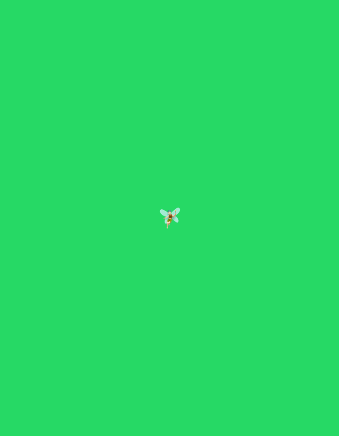 The image displays a small, cartoon-style fairy positioned centrally against a solid, uniform green background. The fairy has translucent light blue wings extended upwards and outwards, and a compact, anthropomorphic body rendered in brown and orange tones, suggesting clothing. Its posture indicates hovering or flight. The green background is entirely monochromatic, devoid of any discernible features, objects, or environmental context. There are no other subjects, objects, or interactions depicted in the scene.
