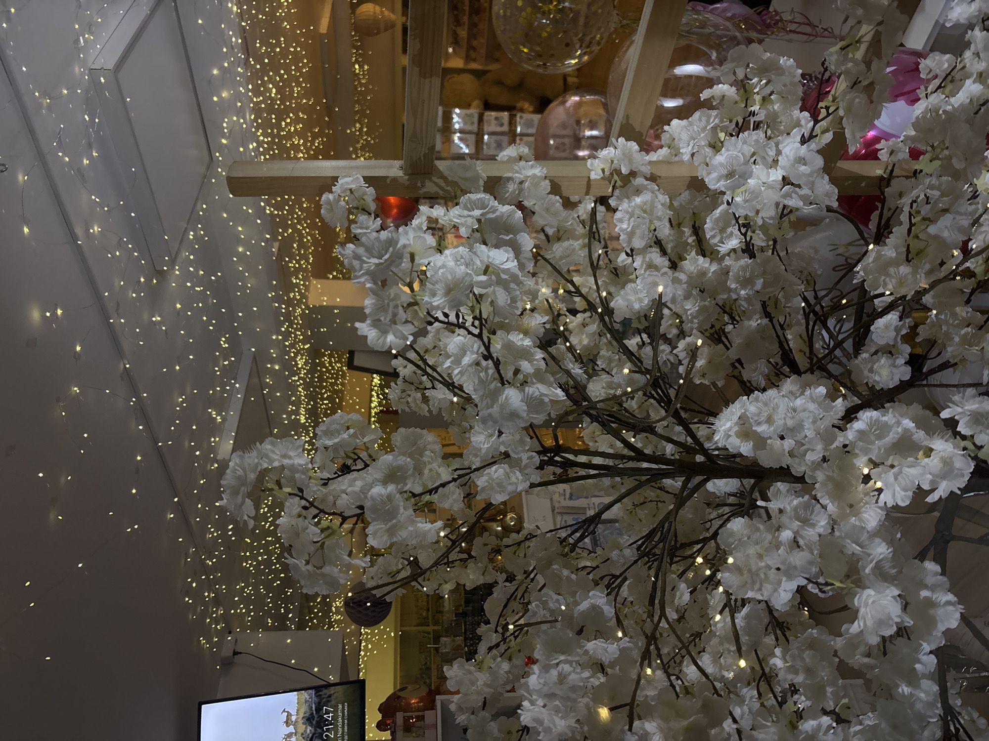 The image shows a display with white artificial flowers on branches, illuminated by small lights. The background features a wall covered in string lights, creating a soft, warm ambiance. A wooden structure, possibly a shelf or display stand, is visible behind the flowers. A television screen is in the lower left corner, displaying a time of 21:47 and a landscape image. The location is possibly a shop or commercial space in Sofia, Bulgaria, based on visual cues.