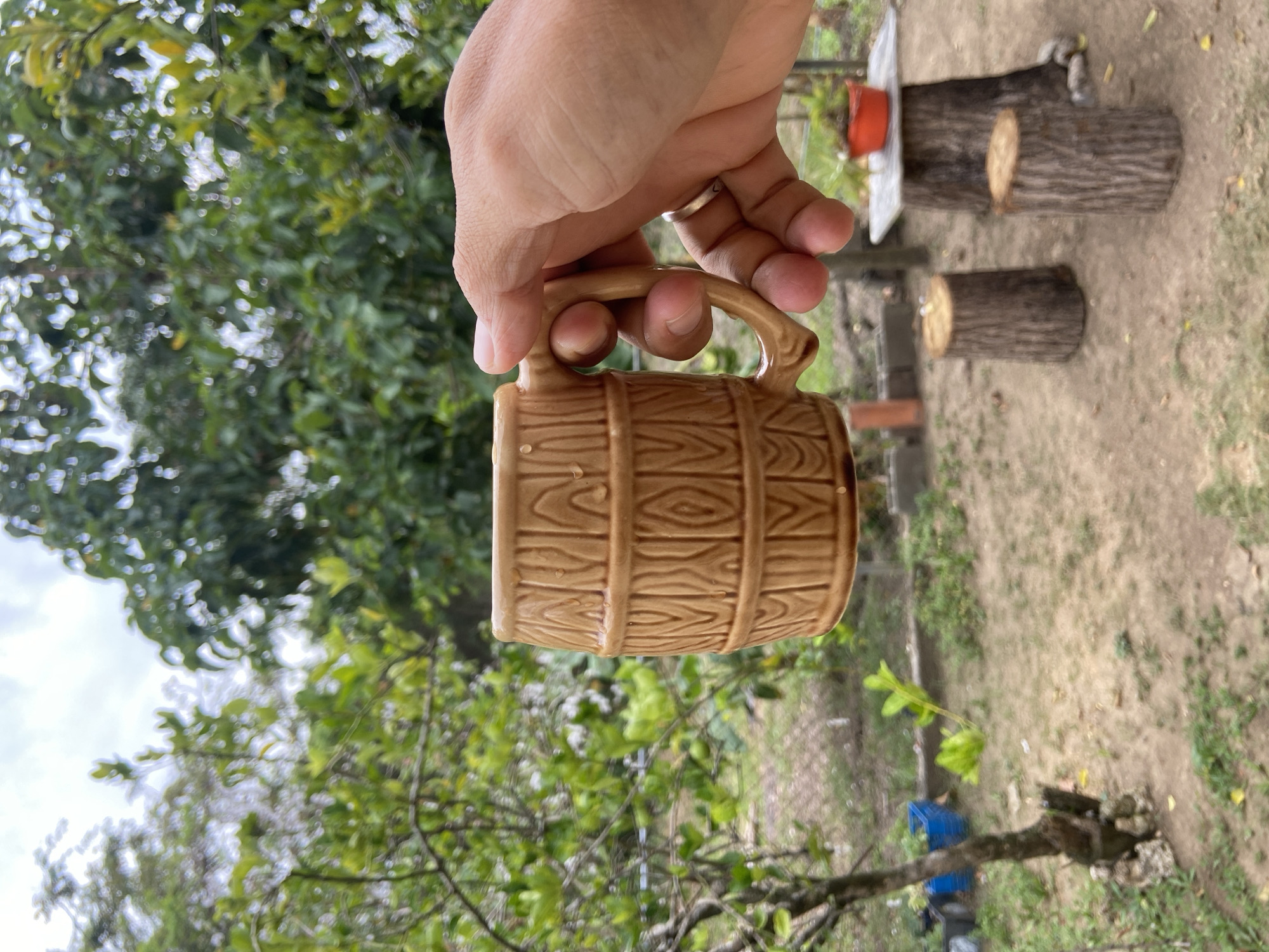 A person's hand holds a brown ceramic mug with a barrel-like design. The background includes trees and a patch of ground with several tree stumps, one with a red pot and silver tray on top. The location is likely outdoors in a somewhat rural or garden-like setting. The photo was taken during the day. The image appears to be in Los Velásquez, Venezuela.