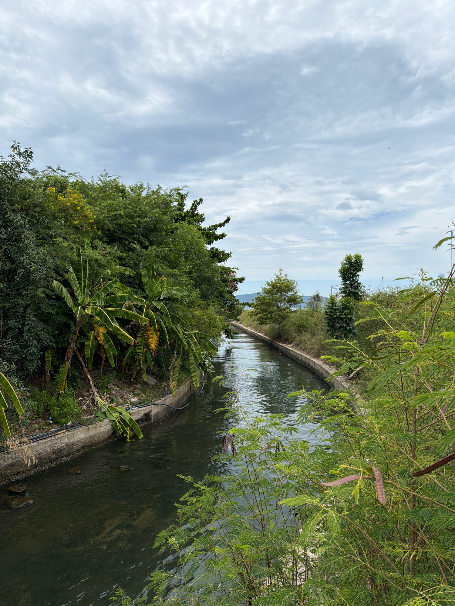 The image depicts a man-made canal in the city of Nha Trang, Vietnam. The canal is lined with concrete walls and surrounded by lush green vegetation, including banana trees and various shrubs. The water in the canal is dark and appears murky, with some stones visible beneath the surface. The sky is overcast with scattered clouds, creating a subdued lighting condition. In the distance, beyond the canal and vegetation, a hazy view of buildings and the sea can be seen, suggesting an urban coastal environment. The overall scene is natural and tranquil, with no people or specific objects of interest readily apparent, save for the infrastructure of the canal itself and the abundant plant life.