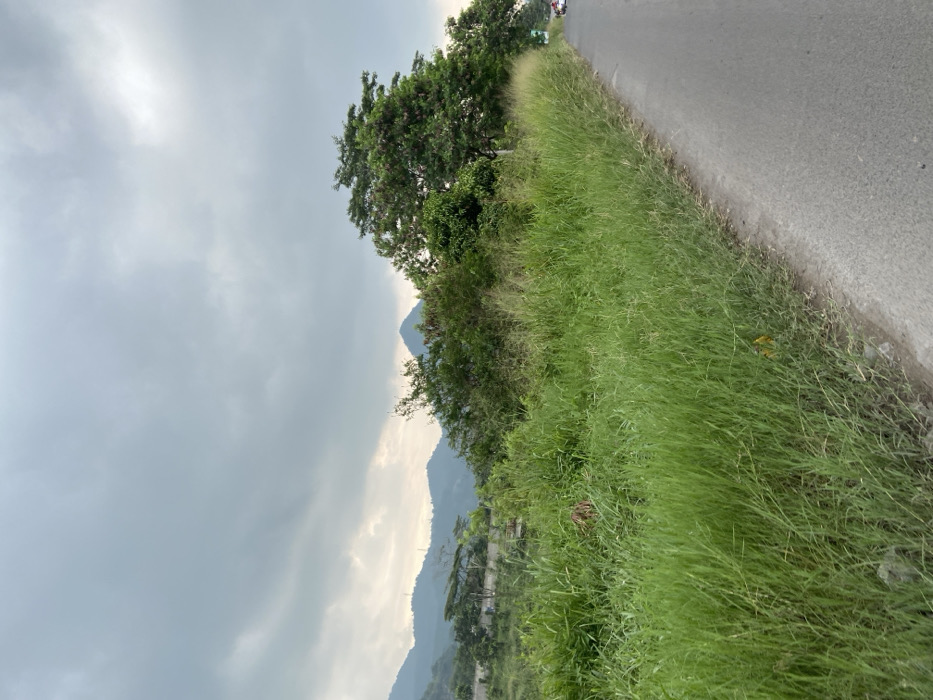 The image shows a grassy roadside in Kecamatan Margaasih, Indonesia (latitude: -6.963, longitude: 107.538). Lush green grass grows along the edge of an asphalt road. In the background, a cluster of trees and a small mountain range can be seen against a backdrop of an overcast sky. A few cars are driving on the road in the distance.
