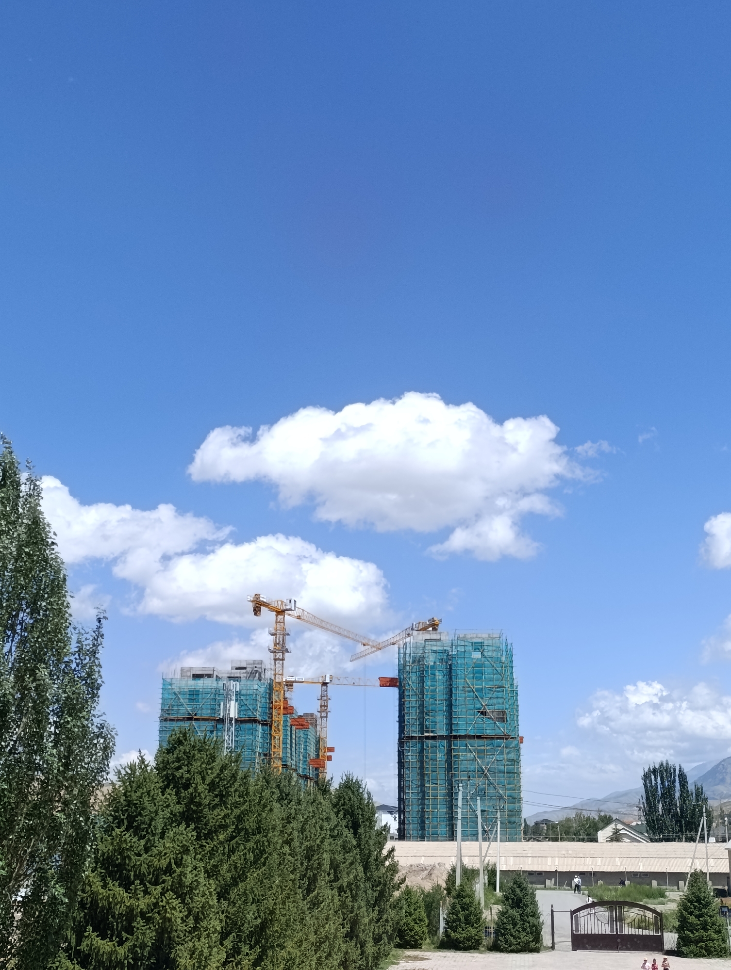 The image depicts a construction site in Naryn City, Kyrgyzstan, under a bright blue sky with scattered white clouds. Two tall buildings are under construction, enveloped in turquoise netting and scaffolding, with several yellow tower cranes positioned around them. In the foreground, a dense row of dark green evergreen trees occupies the lower portion of the frame, partially obscuring the base of the construction. To the left, a tall deciduous tree with light green foliage stands prominently. Beyond the construction site, a low-rise building with a light-colored roof is visible, and in the background, a line of trees and mountains can be seen. A dark metal gate is situated in the middle ground. A few individuals are present in the scene, with some walking near the low-rise building and a small group of people, possibly children, near the gate. The overall scene conveys an active construction phase within an urban or semi-urban environment.