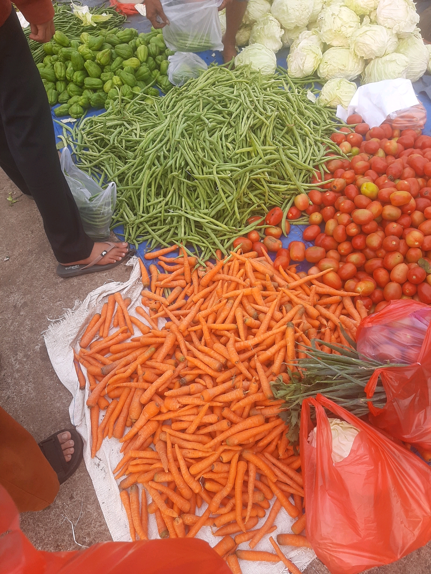 A street market stall in Bekasi, Indonesia, displays a variety of fresh produce. The foreground features a large pile of bright orange carrots on a white cloth, with green onions to their right, some of which are in red plastic bags. Behind the carrots, a mound of long green beans stretches across the image. To the right of the green beans are numerous red tomatoes. Further back, a pile of green, bulbous vegetables, possibly chayote squash, is visible, along with several large heads of white cabbage. In the background, more cabbage is piled high. Two individuals are partially visible; one person's legs and feet, wearing black pants and sandals, are on the left side of the frame, near the green beans. Another person's hand and arm are visible in the upper right corner, near the cabbage. The ground appears to be a rough, dusty surface. The scene suggests a vibrant outdoor market environment.