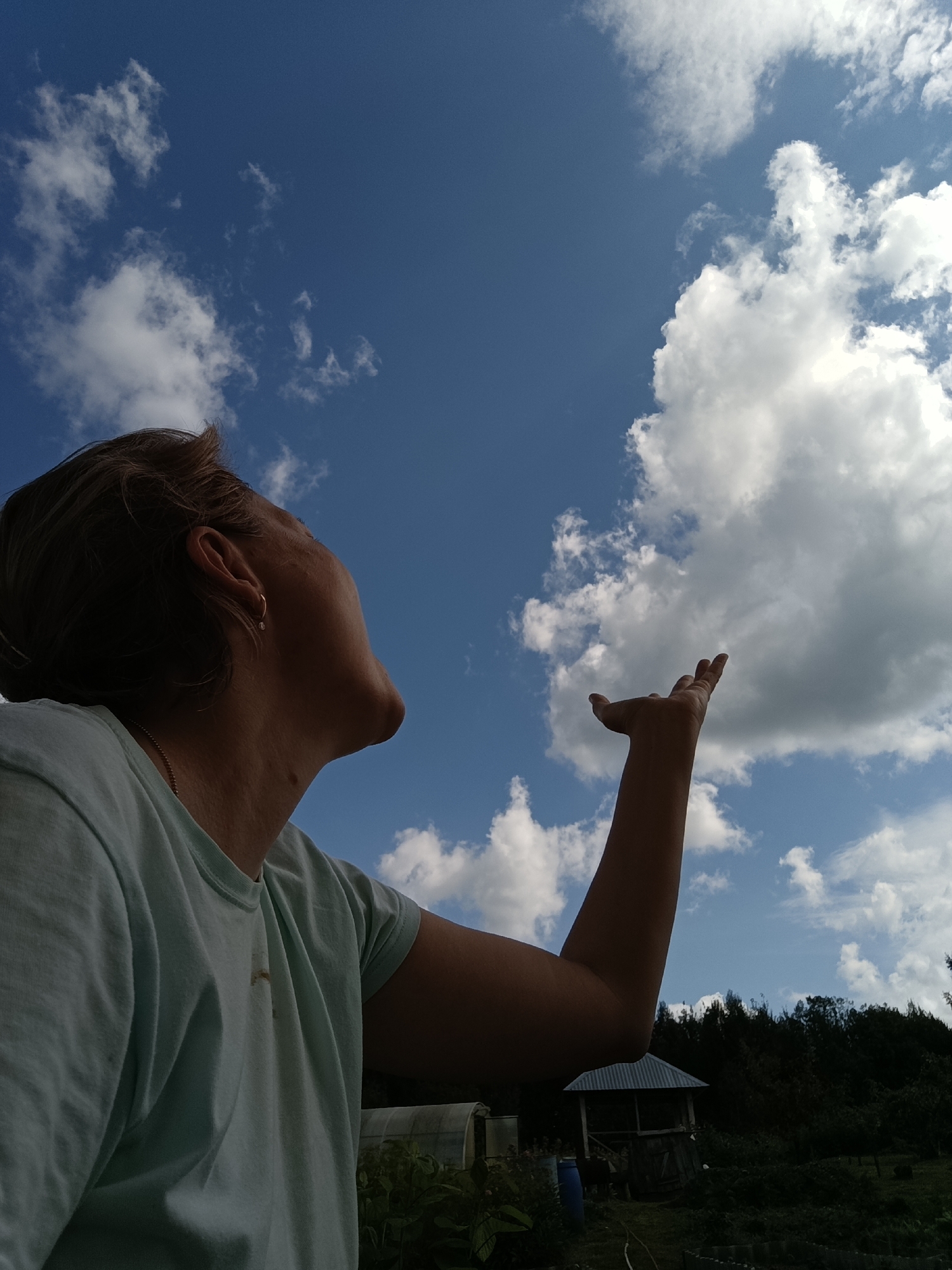 A low-angle, outdoor, medium shot captures a person from the chest up, looking skyward in Dubovaya, Russia. The individual, wearing a light blue t-shirt, has their head tilted back, with their right arm extended upwards and their palm open, as if reaching for the sky. The background consists of a bright blue sky filled with fluffy white clouds, and below the sky, a dark green, dense line of trees forms the horizon. In the lower portion of the image, faint outlines of structures and vegetation are visible, suggesting a rural or garden setting.