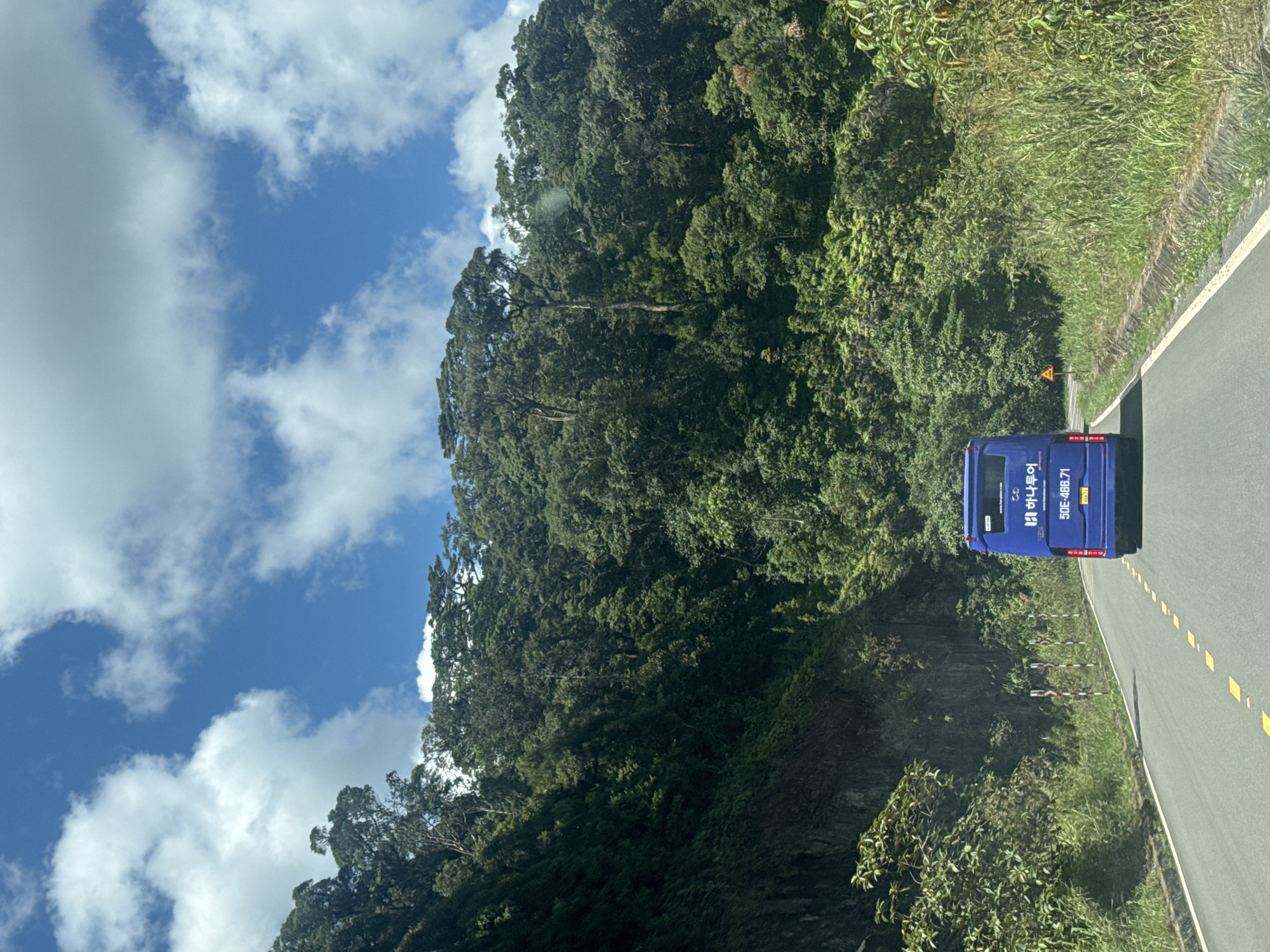 The image captures a view from a moving vehicle on a paved road winding through a lush, mountainous landscape. The road, marked with yellow dashed lines, recedes into the distance. On the left, a steep, rocky slope is covered in dense green vegetation. On the right, the roadside is bordered by tall grasses and more trees. The background is dominated by a densely forested mountain range, with the canopy of trees stretching across the horizon. The sky above is a bright blue, punctuated by scattered white clouds. A blue bus with Korean text and the license plate "50E-466.71" is visible ahead on the road. Several yellow and white striped markers are positioned along the side of the road, and a triangular warning sign is also present. The scene appears to be set in the vicinity of Lac Duong, Vietnam, a region known for its natural beauty and mountainous terrain.