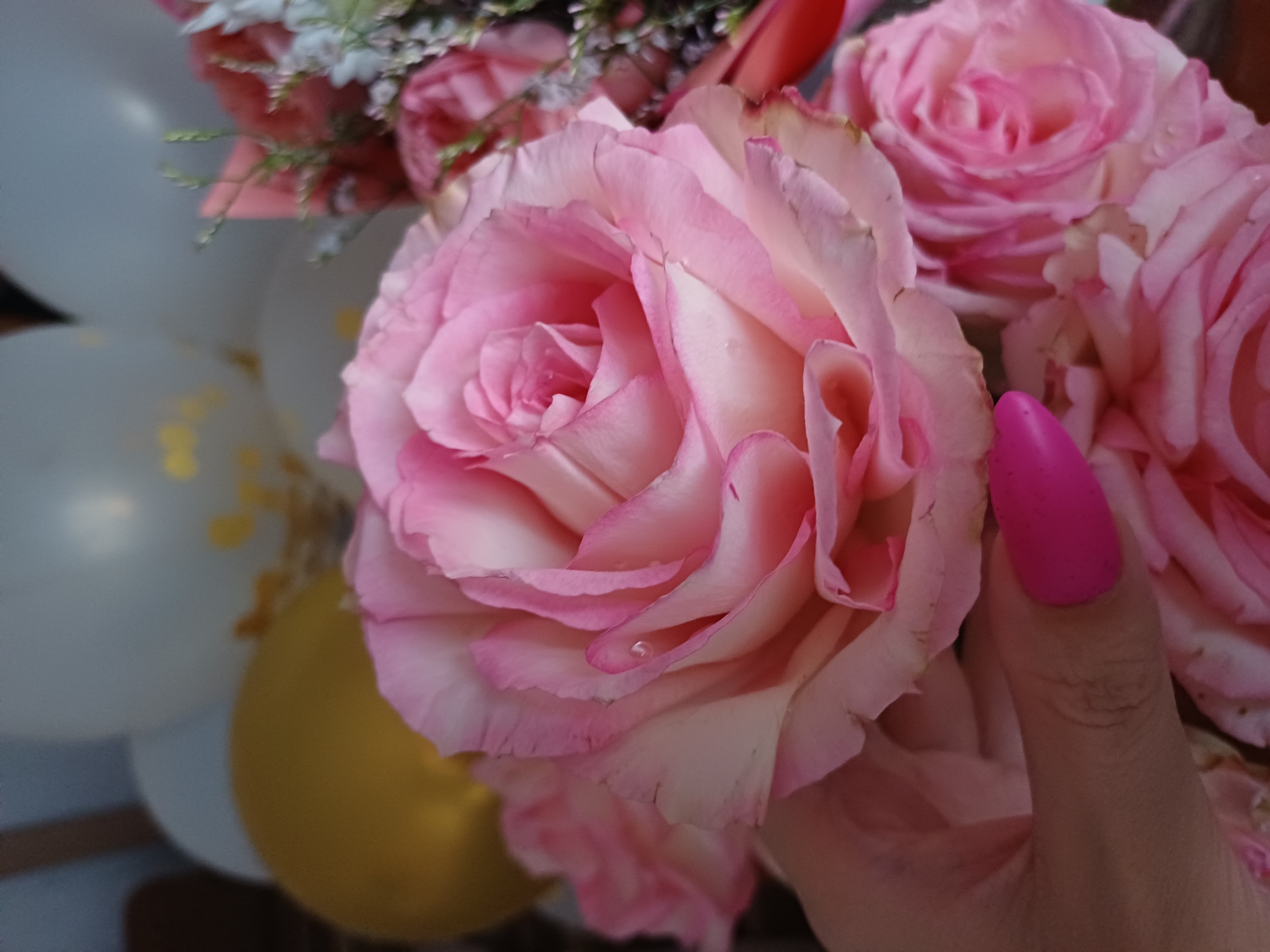 The media file features a close-up view of a bouquet of pink roses, with a hand holding some of the flowers. In the background, there are several deflated balloons, one of which is yellow and the others are white. A few small droplets of water are visible on the rose petals. The lighting suggests it might be daytime, but no specific time can be determined. The overall scene evokes a celebratory or romantic mood, perhaps for an event or a special occasion. There is no visible text in the image.