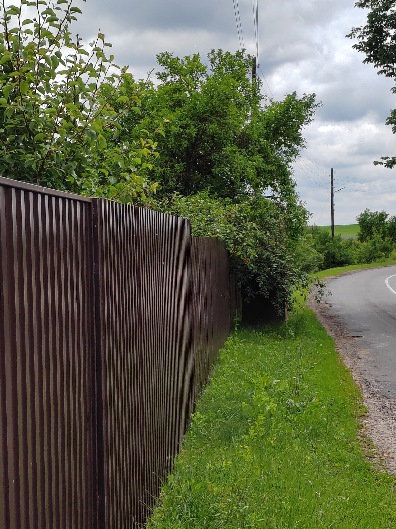 The image depicts a roadside scene in Воўчынскі сельскі Савет, Belarus. A brown corrugated metal fence runs along the left side of the frame, parallel to a paved road that curves to the right. Lush green grass and vegetation grow along the edge of the road and beside the fence. Trees with dense green foliage are visible behind the fence, with some branches extending over it. The sky is overcast with clouds, suggesting a potentially humid or rainy day. Power lines are strung overhead, supported by wooden poles, with one pole clearly visible in the middle ground. The overall impression is that of a rural or semi-rural setting. There are no people or animals visible in the image.