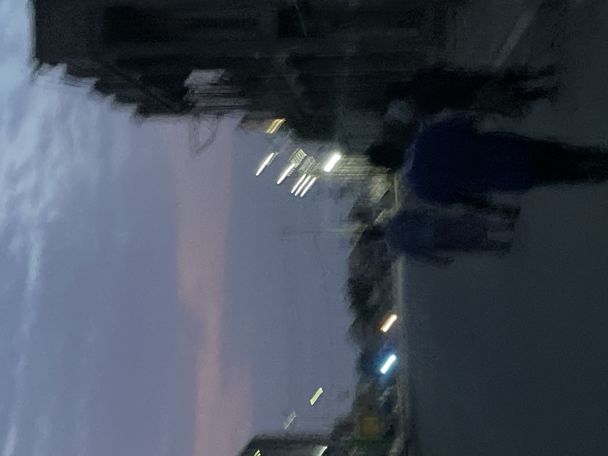 This is a blurry, low-light image taken at night or dusk in an urban environment. Buildings are visible in the background, and streetlights or other light sources create streaks of light across the scene. A person or people are visible, blurred and out of focus, to the right. The sky is a pale color, suggesting twilight.