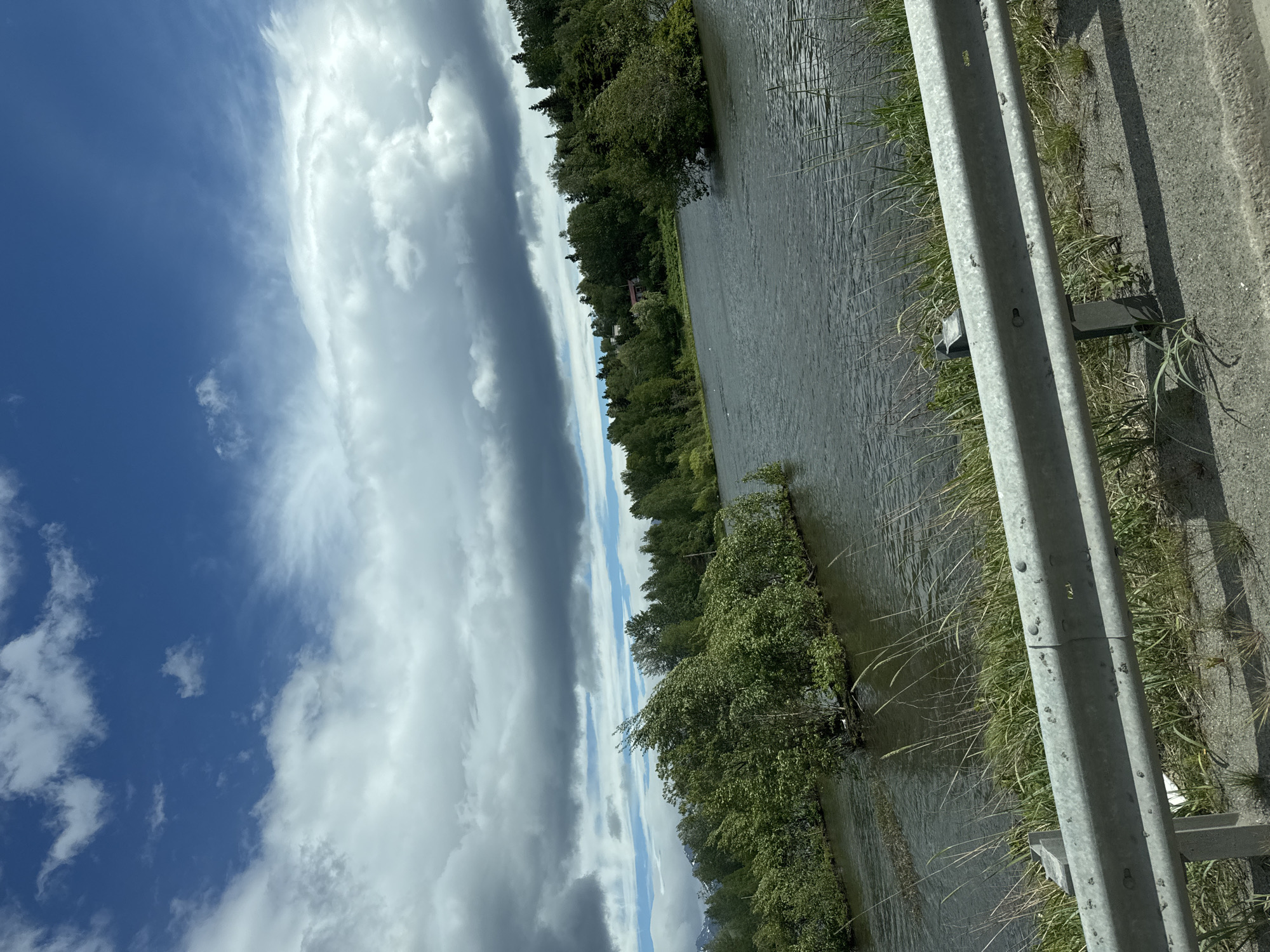 This image captures a serene natural landscape under a dynamic sky, likely taken from a roadside vantage point in Anchorage, Alaska, United States of America. The foreground is dominated by a silver metal guardrail, typical of a road buffer, with dry grass and sparse vegetation growing around its base. Beyond the guardrail, a body of water, possibly a river or lake, stretches across the scene. Several small islands covered in lush green trees and bushes dot the water, some appearing to be submerged or very close to the water's surface. The water itself is a dark, murky grey, reflecting the overcast sky.
The background features a dense line of trees, predominantly evergreen, that forms a natural horizon. In the distance, hints of mountainous terrain can be seen peeking through the foliage, suggesting the rugged Alaskan topography. Above, the sky is a dramatic mix of bright blue patches and heavy, dark grey clouds, with some lighter, wispy clouds scattered throughout. The interplay of light and shadow on the water and vegetation indicates a partly cloudy day with a strong breeze, as evidenced by the way the trees on the islands are leaning. The scene conveys a sense of wild, untouched nature within or near an urban setting, characteristic of Anchorage. No people are visible in the image.