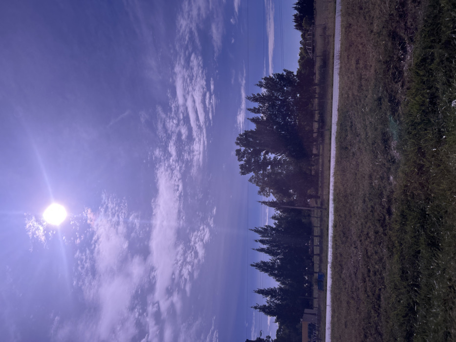 The image depicts a daytime, semi-rural landscape located in Chascomús, Argentina. The scene is dominated by a bright, high-intensity sun in the upper-left quadrant of a purple-blue sky, creating significant lens flare. The sky contains scattered white cirrus and stratocumulus clouds. Below the horizon, a paved road stretches horizontally across the midground. Adjacent to the far side of the road, a line of dense, dark green trees, including both conifer-like and broader-leafed varieties, forms a visual barrier. Utility poles and power lines are discernible above the tree line. In the foreground, a field of dry, unkempt green and brown grass covers the lower third of the frame. No individuals or active interactions are present. Visible structures include a faint blue object at the base of the trees near the left, a light-colored fence or building facade partially obscured by trees to the left, and a rounded, metallic, geodesic-like frame structure in the far right background.
