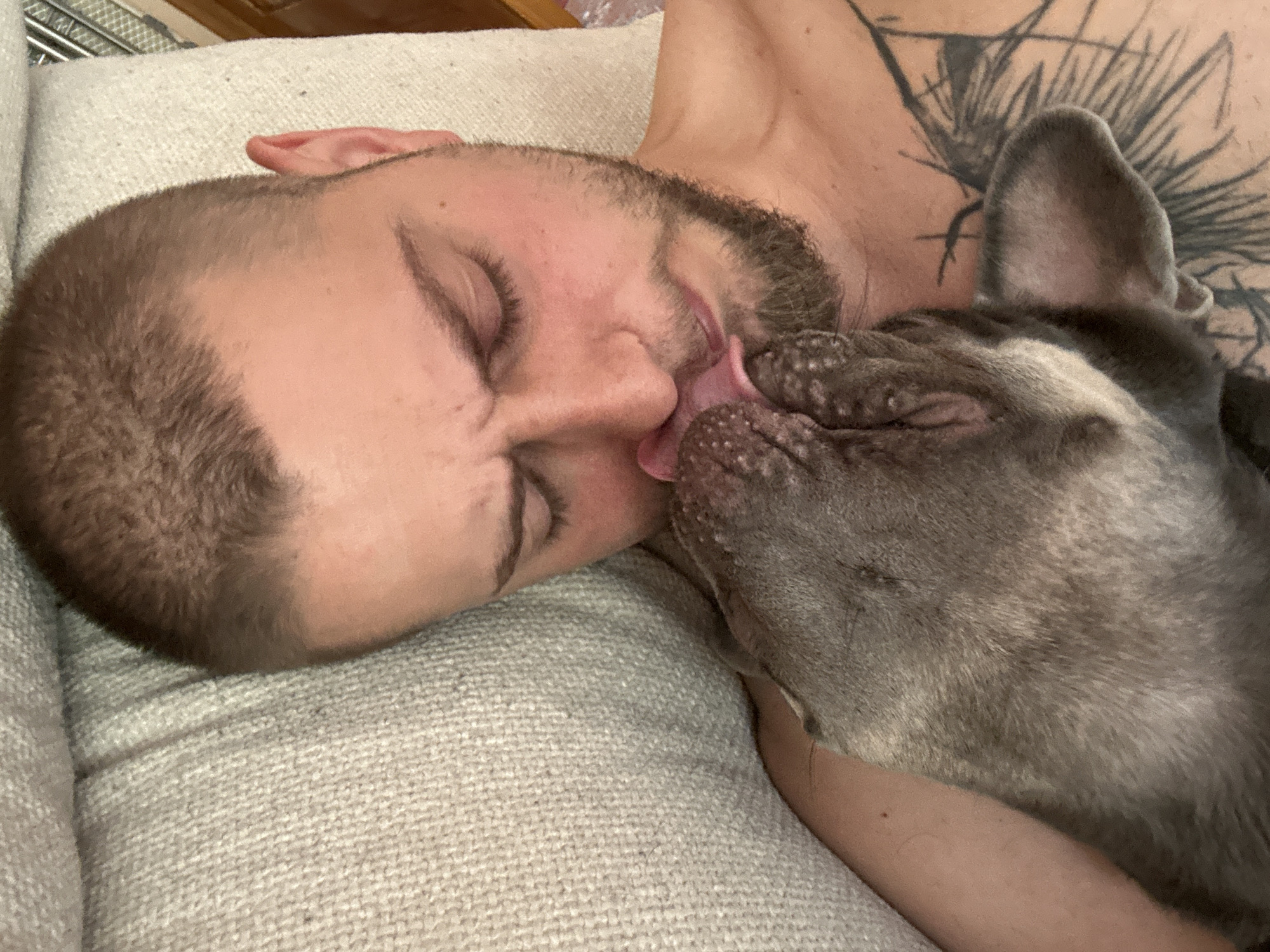 A close-up, overhead shot shows a person resting their head on a textured, neutral-colored surface, possibly a couch. A small, grey dog is licking the person's face. The person has short, brown hair and is looking downwards with their eyes closed. The dog's snout is pressed against the person's cheek, and its tongue is visible. The person has a tattoo on their chest. The background is blurred and consists of what appears to be a wooden surface and possibly some plastic sheeting. The overall scene suggests a moment of affection between the person and the dog.