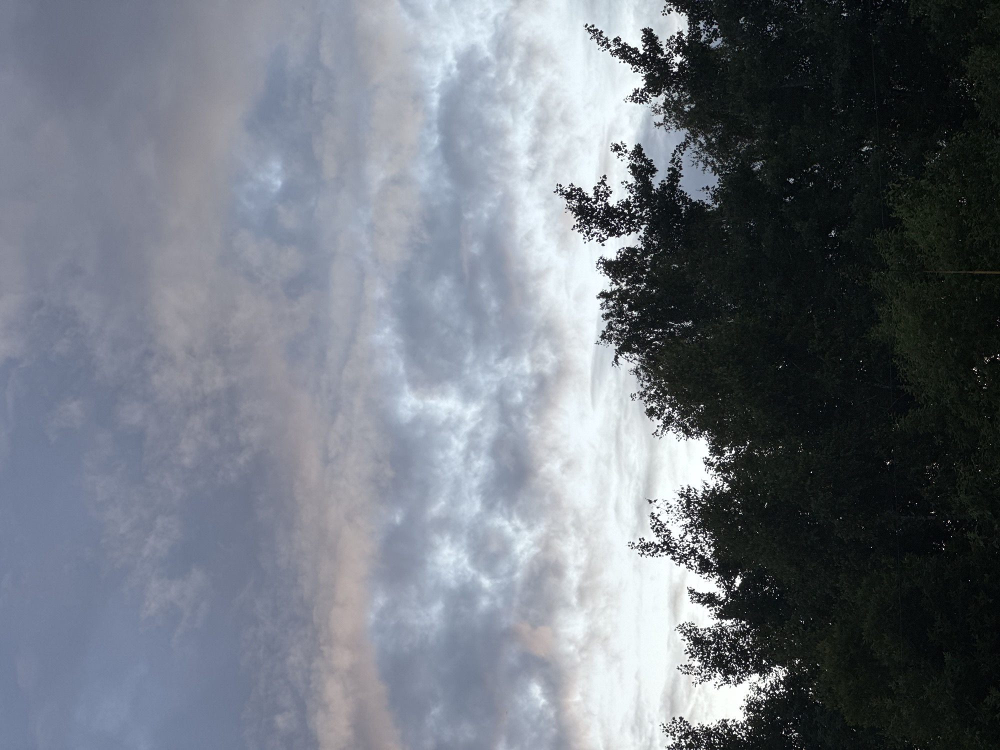 The image shows a silhouetted view of trees against a cloudy sky. The trees, dark green to black in color, fill the bottom half of the frame, their leaves and branches detailed against the lighter sky. The sky above is a mix of gray and pale pink clouds, with hints of blue peeking through in some areas. The scene appears to be an outdoor environment, possibly a park or a forest edge, located in Zaokskiy, Russia. No people or specific actions are visible. The overall impression is one of a natural landscape during twilight or overcast weather.