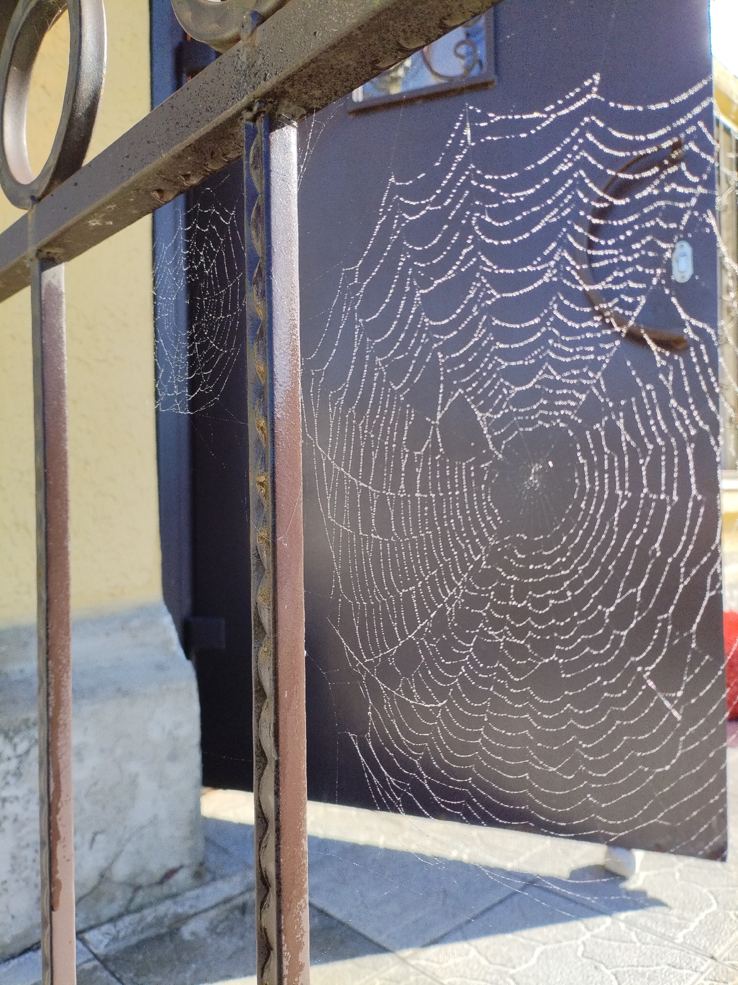 A close-up, eye-level outdoor shot captures a spiderweb adorned with dew droplets, suspended between a dark metal gate and a dark, flat surface, possibly a door or fence. The web, intricate and radial, glitters with light reflected from the dew. The metal gate, partially visible in the foreground, is dark brown and exhibits a slightly rusted texture, with decorative circular elements and vertical bars. Behind the gate, a yellow wall and a light gray concrete structure are visible, suggesting an urban or suburban setting. The ground is paved with light-colored tiles that cast long, distinct shadows, indicating a sunny day. The overall scene evokes a sense of early morning stillness and the delicate beauty of nature in an urban environment. This scene is located in Bialynichy, Belarus.