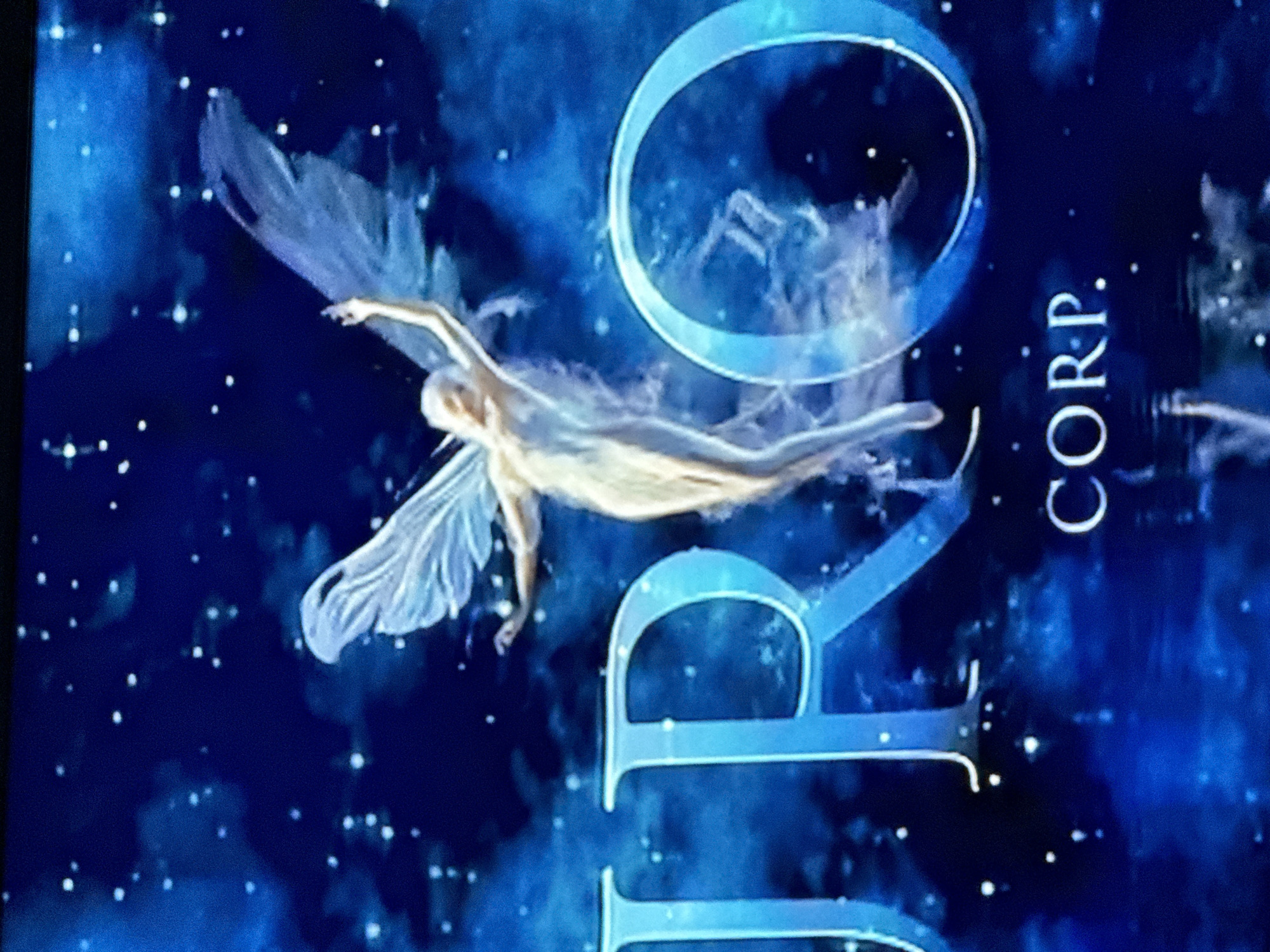 The image shows a fantasy-themed logo or graphic against a dark blue, starry background. The logo features a fairy-like figure with translucent wings, flying in front of the word "OPRO CORP." The font is in a light blue color. The location is not discernible from this image.