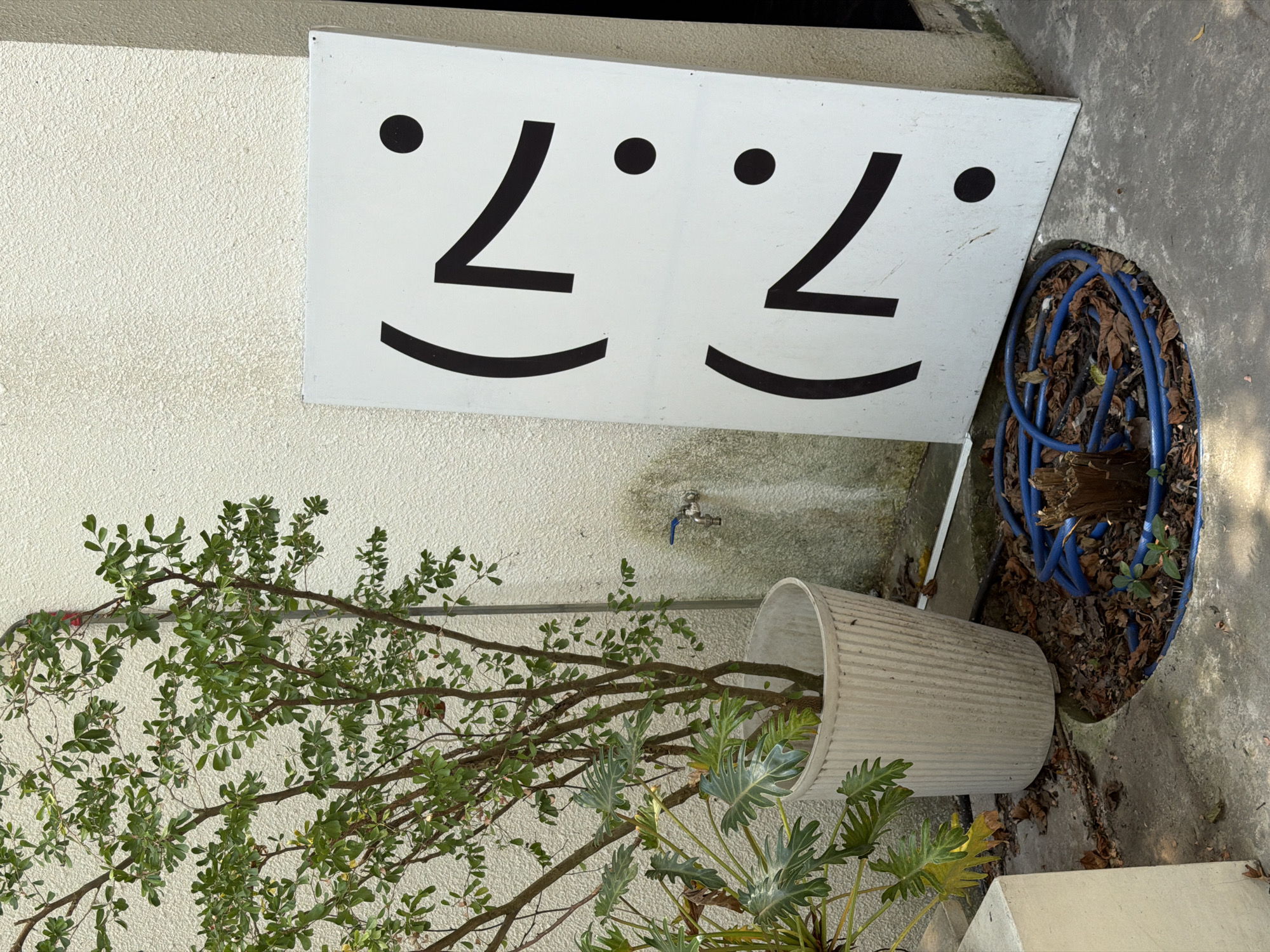 The scene depicts a white wall with a white sign displaying two minimalist face designs. Each face consists of a dot, a slanted line representing an eye, and a curved line for a smile. A metal faucet is mounted on the wall below the sign.
Below the sign and faucet, a large potted plant has fallen over, spilling its contents onto the ground. The plant features thin branches with small green leaves and larger, more textured leaves nearer to the pot. Next to the pot, a coiled blue hose is visible amidst dead leaves and debris on the concrete ground. The location is Đà Nẵng, Vietnam.