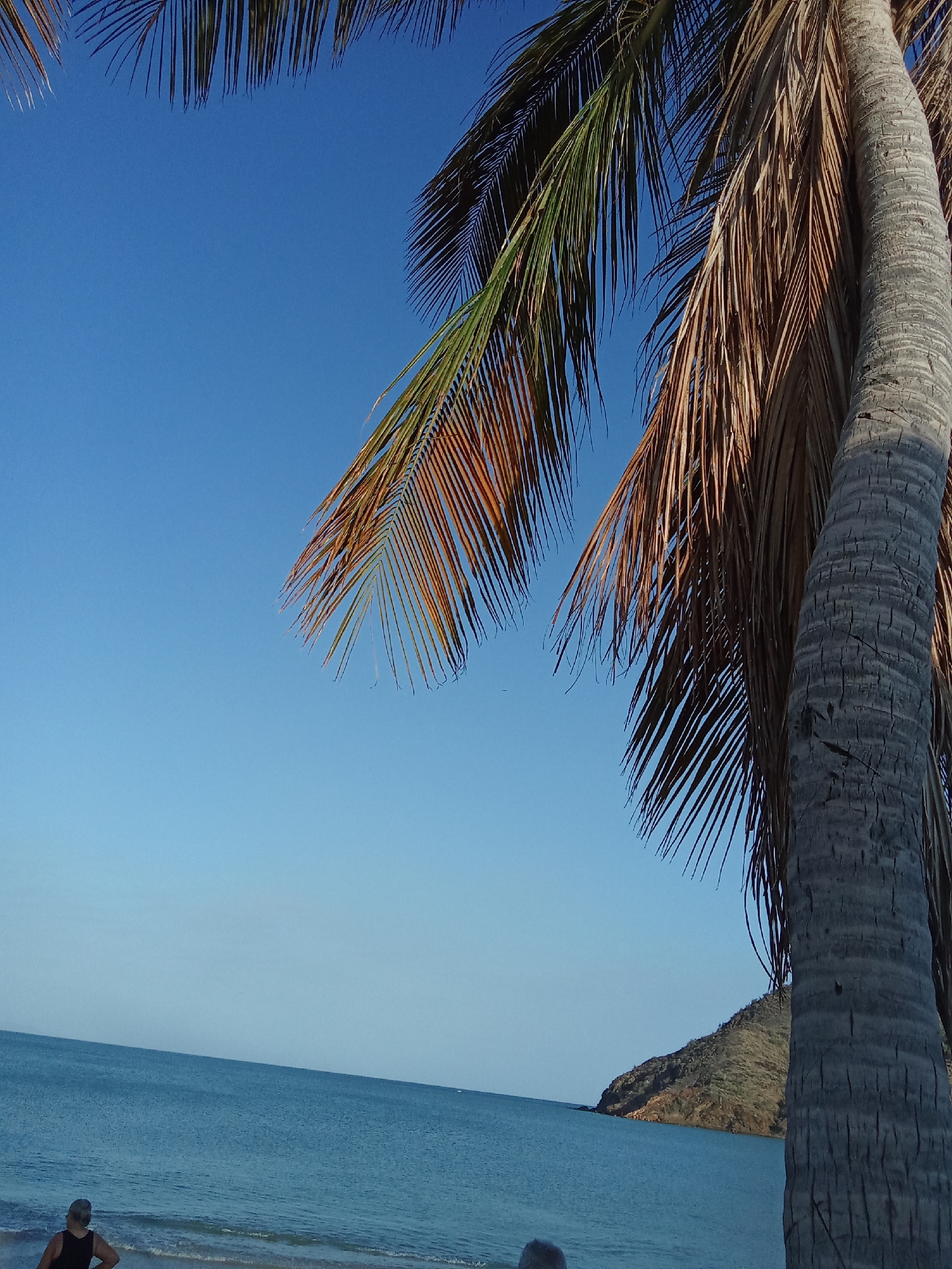 The image captures a coastal scene in Juan Griego, Venezuela. A palm tree with both green and brown fronds dominates the right side of the frame, its trunk textured and gray. A clear, light blue sky stretches across the top and center of the image. The ocean, calm and blue, fills the lower portion, meeting a sandy beach on the left. In the lower-left corner, a person wearing a dark tank top stands near the water's edge. A small landmass is visible in the distance on the right horizon.