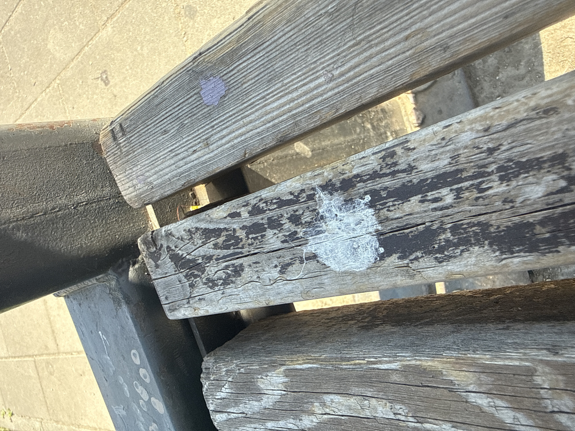 A close-up, top-down view of a weathered wooden park bench in Krasnoyarsk, Russia, shows three parallel wooden slats. The middle slat has a white, splotchy substance adhered to its surface. To the right of the middle slat, another wooden slat exhibits a small, irregular purple mark. The background consists of a paved surface, likely a sidewalk, and a dark, textured metal structure supporting the bench. The scene is illuminated by natural light, casting shadows and highlighting the rough texture of the wood.