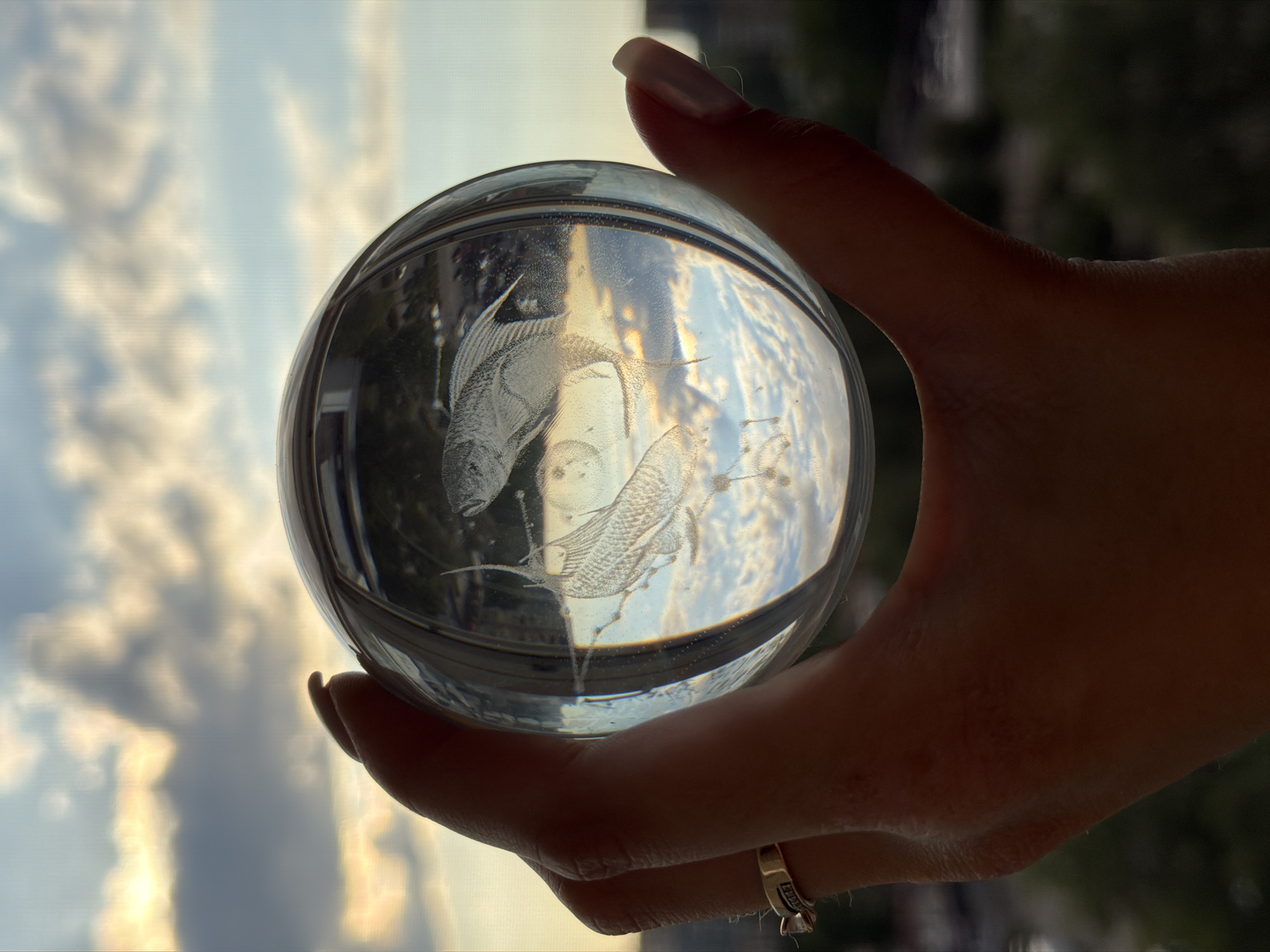 A close-up, silhouetted shot captures a hand holding a clear glass sphere containing an etched image of two fish against a backdrop of a cloudy sky at dusk. The sphere is held between the thumb and forefinger, with other fingers supporting its weight. A ring with a small gem adorns the ring finger. The background shows a city skyline dimly visible through the refracted light of the sphere, with trees and buildings in the distance. The sky transitions from a pale yellow near the horizon to a soft blue with scattered clouds.