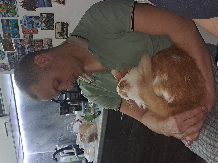A man cradles a ginger and white cat in his lap. The man wears a green t-shirt and looks down at the cat. The cat is curled into a ball. Behind them, a kitchen counter with items on it, and a wall covered with fridge magnets are visible.