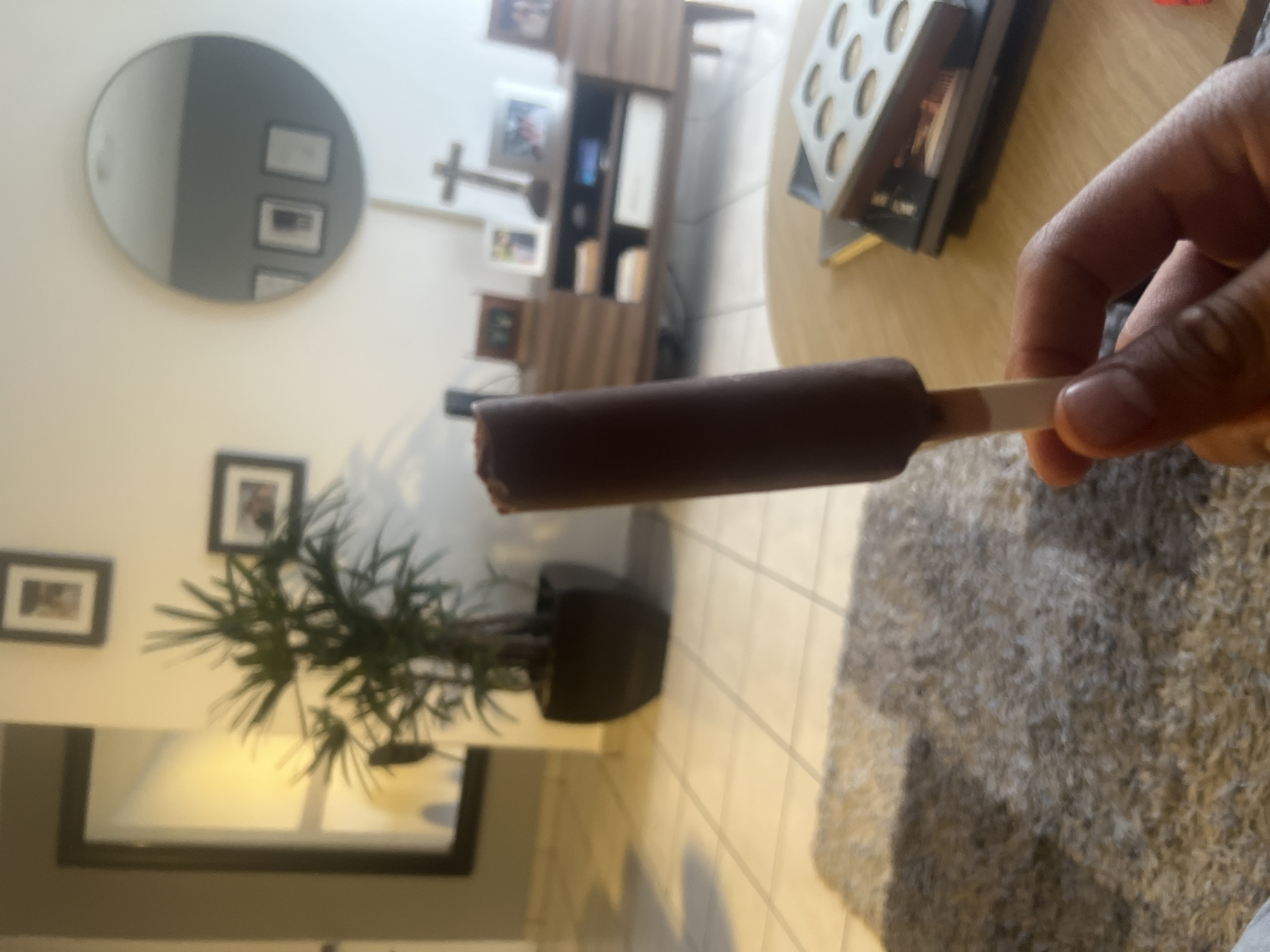 A person is holding a chocolate popsicle with a bite missing. The setting appears to be inside a house. A plant is near a television. The location is not discernible. The city cannot be determined.