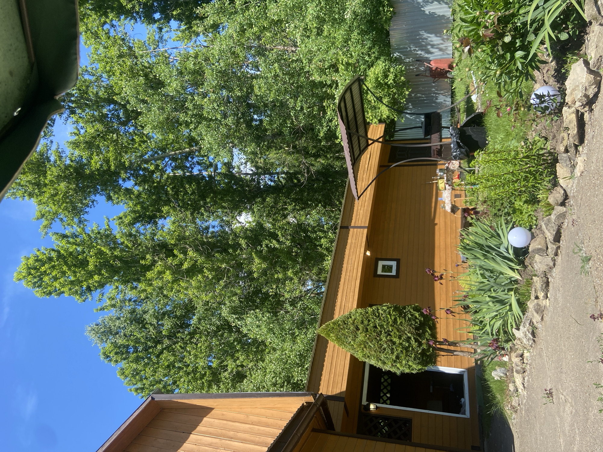 A backyard scene in Kazan, Russia, features a wooden house with a brown exterior. In front of the house, a neatly manicured conifer stands beside a flowerbed with irises and other greenery. A concrete path leads to the house, which has an open doorway. Beyond the flowerbed, a lawn extends to a metal fence. Various objects are scattered in the yard, including a barbecue grill under a canopy, a table laden with items, a red wheelbarrow, and two white globe lights. Tall, leafy trees line the background, contrasting with the bright blue sky.