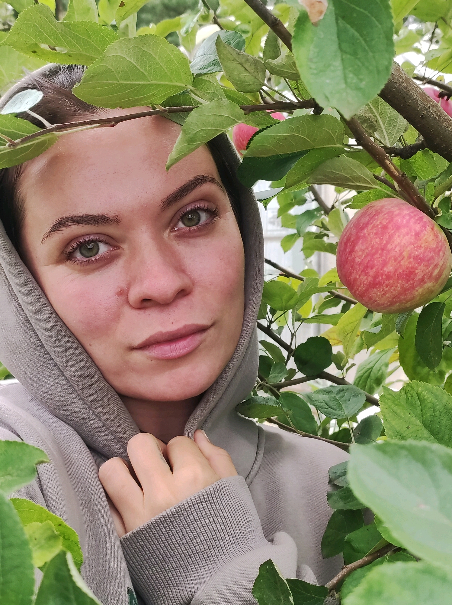 A young woman is pictured amidst an apple tree, with her face framed by the green leaves and a single red and yellow apple visible to her right. She is wearing a light grey hooded sweatshirt, with the hood pulled up and draped around her head and shoulders. Her hands are visible, one touching her neck near the hood of her sweatshirt. The background is blurred, suggesting an outdoor environment, likely a garden or orchard. There are no discernible landmarks indicating a specific location within the city of Fokino, Russia. The lighting appears to be natural daylight, casting soft shadows. The overall impression is a casual portrait taken outdoors.