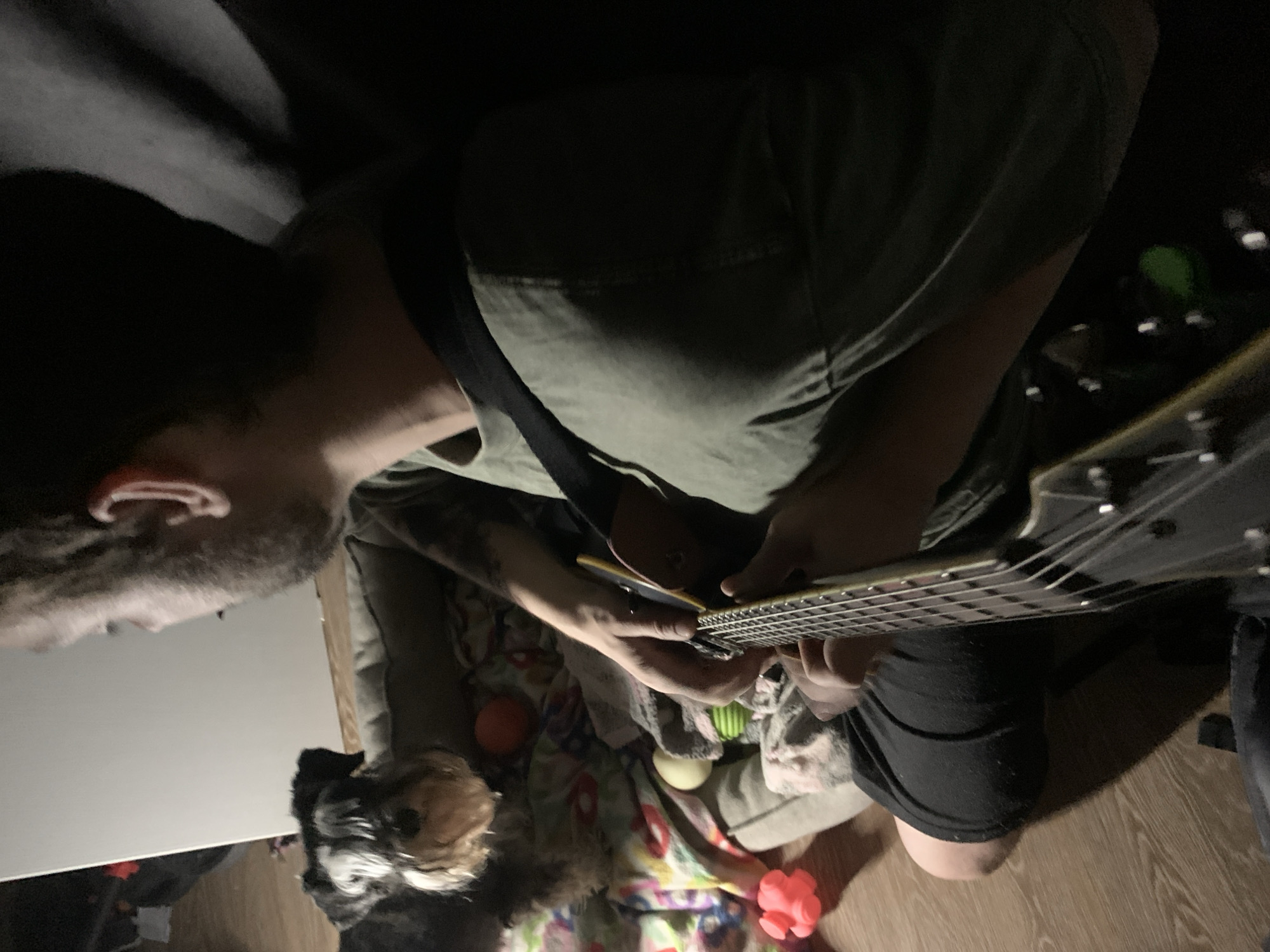 A man is seated and playing an electric guitar. He wears a green t-shirt and black shorts. A guitar strap is across his shoulder. A small dog is sitting on a blanket adorned with toys. The flooring is wood. The location is Chaikovsky, Russia.