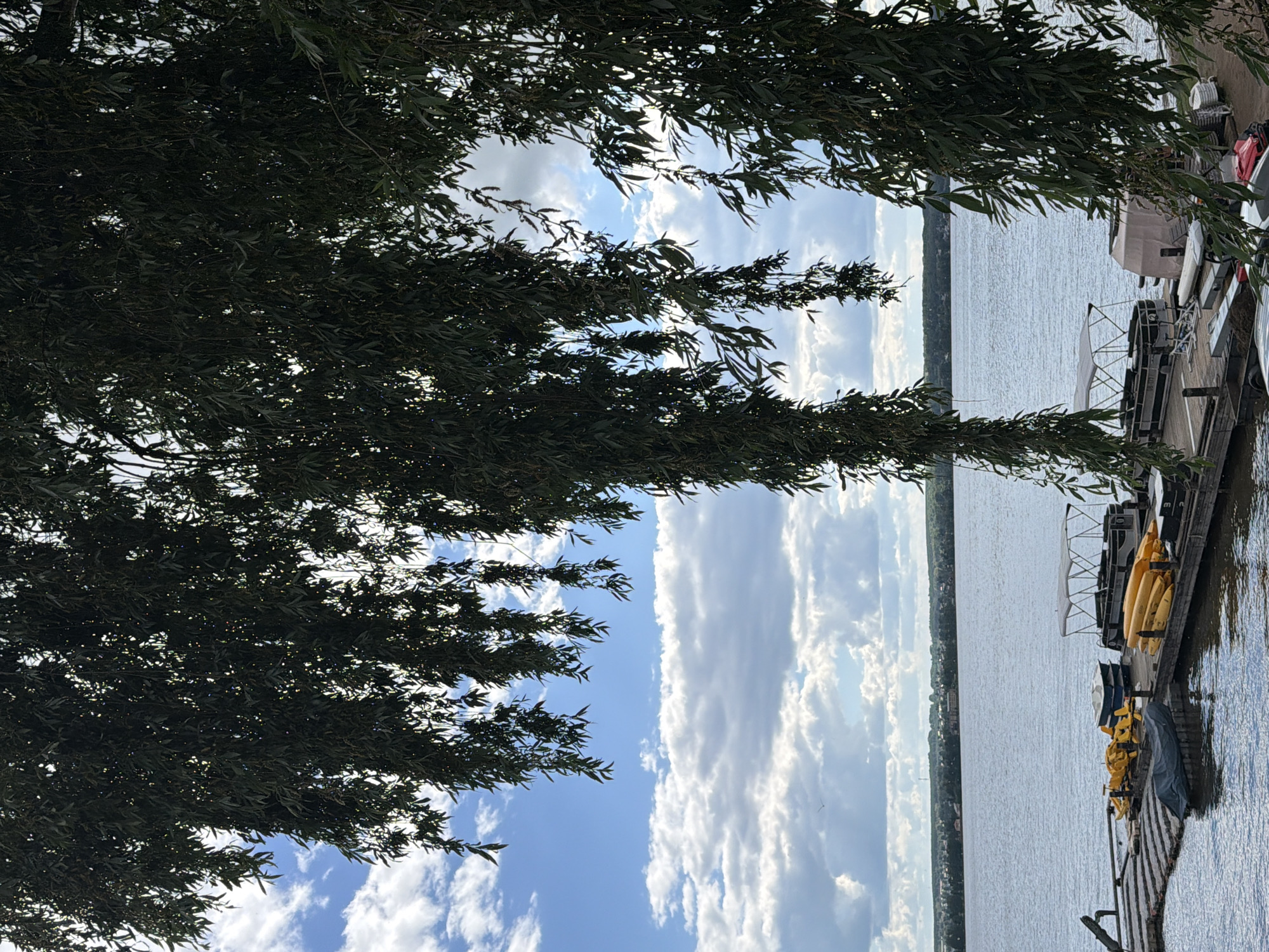 The image depicts a serene lakeside scene, likely in Votkinsk, Russia, characterized by a calm body of water stretching towards a distant tree-lined horizon. The foreground is dominated by the lush, drooping branches of a willow tree, its leaves creating a natural frame for the sky and water. A wooden dock extends into the lake, equipped with several boats, including pontoon boats and smaller yellow kayaks or canoes. The sky is a vibrant blue, dotted with fluffy white clouds, suggesting fair weather. The overall impression is one of tranquility and natural beauty, with a hint of recreational activity.