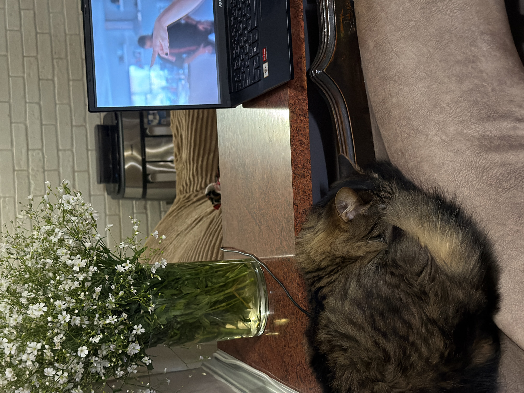 Indoors, an eye-level shot captures a domestic scene. In the lower-left foreground, a brown and black tabby cat is curled and asleep on a light beige textured surface, with its head tucked and tail visible. Above the cat, a reddish-brown polished tabletop extends across the mid-ground. On the left side of the table, a clear glass vase holds a substantial bouquet of small white flowers with green stems submerged in water. A black cable runs from near the vase towards the right, across the tabletop. On the right side of the table, a black ASUS laptop with an AMD Ryzen sticker is open and displaying a video. The laptop screen prominently features a person's hand with dark nail polish, pointing towards a partially visible, blurred male figure in a dark shirt standing in a brightly lit indoor environment. In the background, a light-colored brick wall is visible behind the laptop and flowers. To the left of the laptop, a silver-toned coffee machine or similar appliance with a black top is situated on a surface, with a striped beige fabric visible behind it. The lighting suggests an indoor setting.