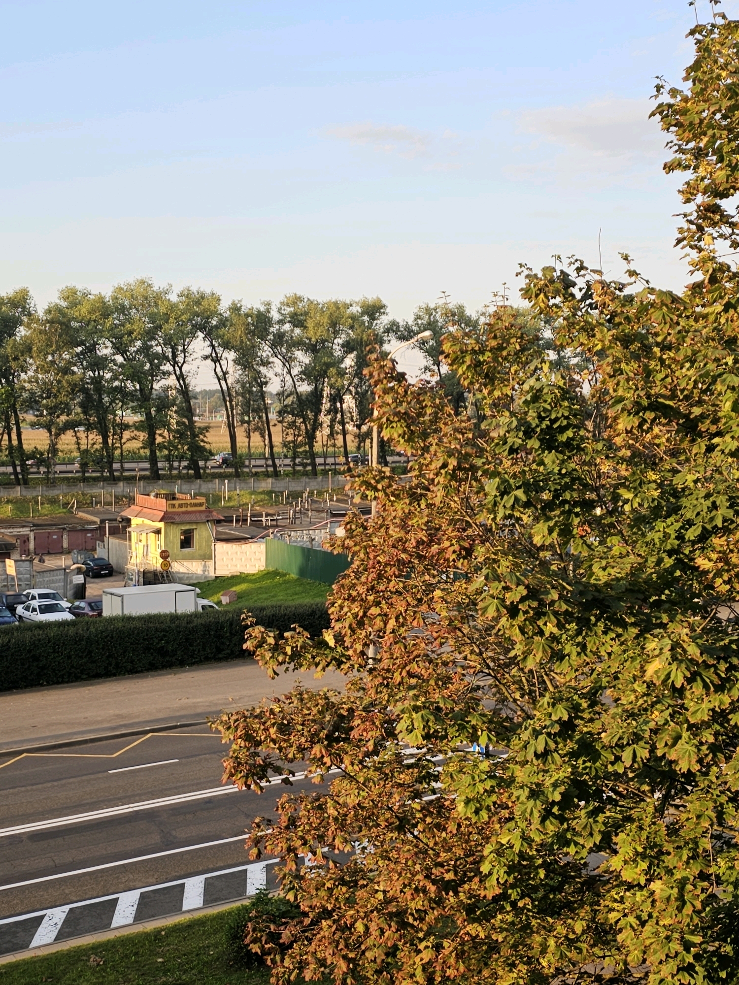 The image shows an outdoor scene with a mix of urban and natural elements. In the foreground, a tree with leaves changing color for autumn dominates the right side of the frame. The tree has both green and brown/orange foliage. To the left of the tree, a road with double white lines and a yellow zig-zag marking is visible, bordered by a grassy area with diagonal white and black markings.
Further back, a row of garages with red roofs is seen, with several cars parked in front of them, including a white van and a black sedan. A small, yellow building with a red roof and the Cyrillic text "ГТК АВТО-ПЛАНАР" is situated among the garages. Behind the garages, a line of tall, slender trees with green foliage stretches across the background, with a road and vehicles visible beyond them. The sky is clear and pale blue with a few wispy clouds. The scene appears to be in an urban setting, possibly a parking lot or a residential area with garages. The lighting suggests it is either early morning or late afternoon.