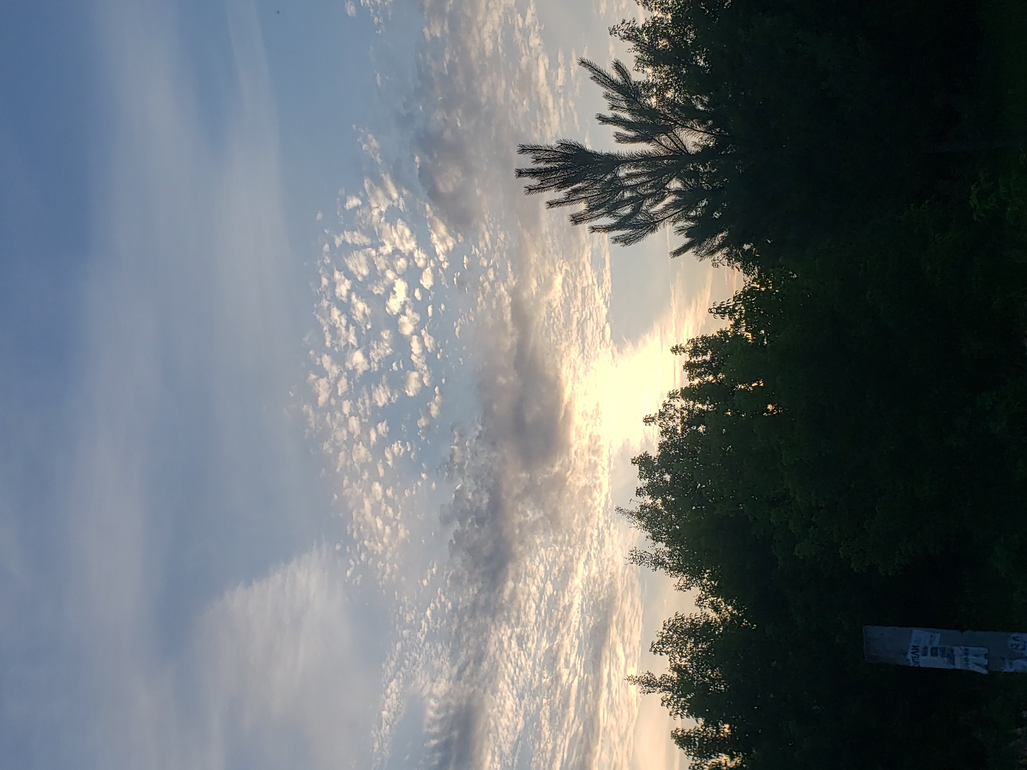 A wide shot captures a sunset in Nizhny Novgorod, Russia. The sky is a gradient of blues and oranges, with scattered clouds. The sun is low on the horizon, casting a warm glow. In the foreground, a line of dark trees stretches across the frame, with a single pine tree on the right side. A concrete post with some faded text is visible on the left side of the image. The overall scene is serene and tranquil.