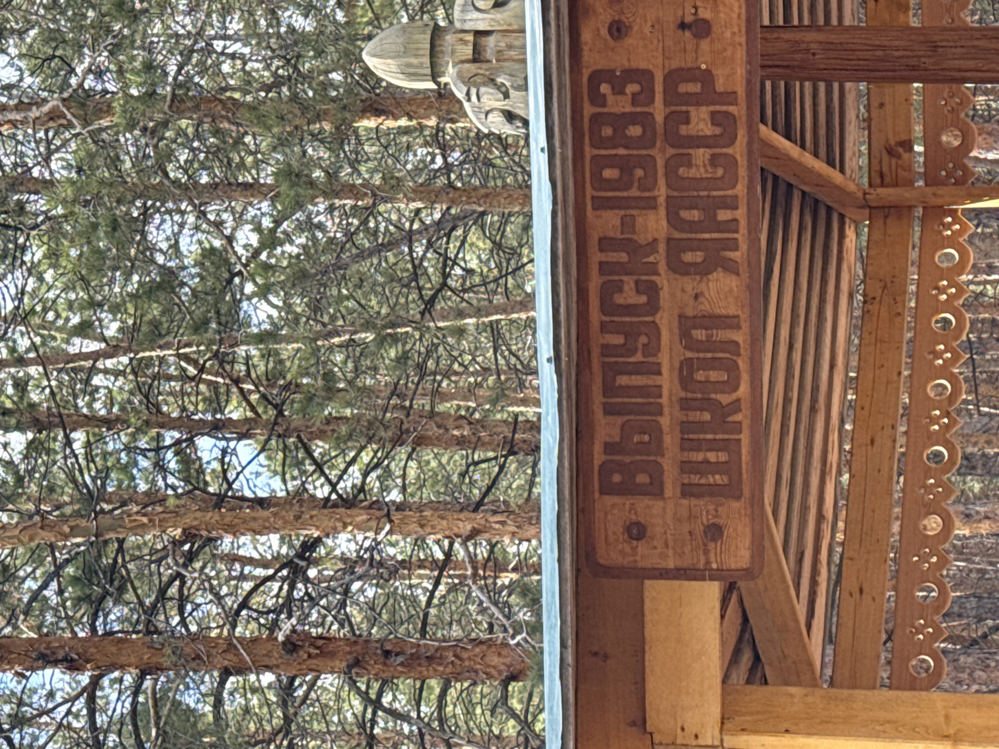 The image shows a wooden structure in front of a background of trees. A sign attached to the structure reads "Выпуск-1983 Школа ЯАССР", which translates to "Graduation-1983 School YaASSR". This indicates the structure is likely related to a school's graduating class of 1983 from the Yakut Autonomous Soviet Socialist Republic. Considering the text is in Russian and the location given is Yakutsk, Russia, the structure is located in or near Yakutsk. The wooden structure appears to be an outdoor shelter or archway with decorative carvings. The background features dense trees, suggesting a forested or park-like environment.