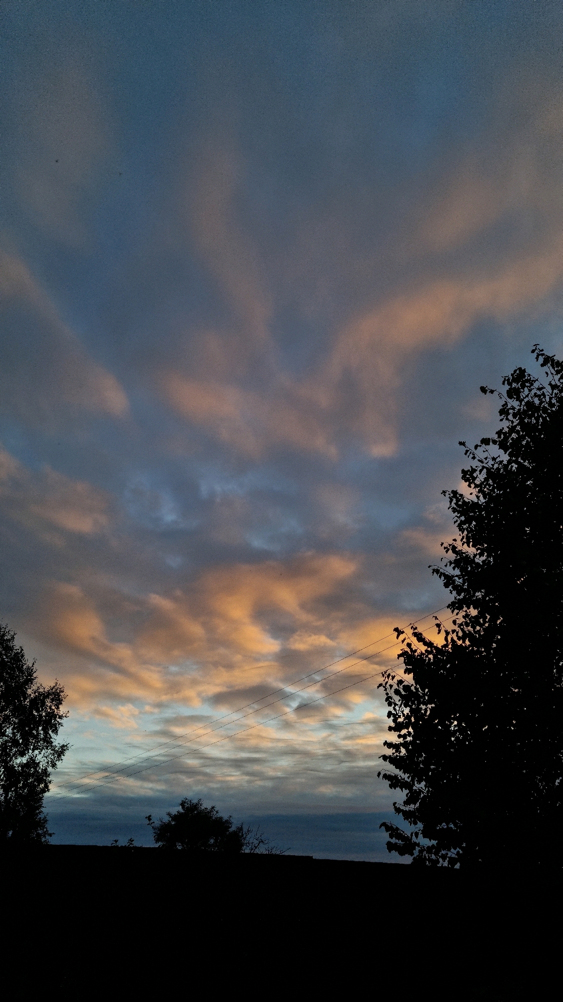 The image depicts a twilight sky with scattered clouds tinged with orange and pink hues. Silhouetted against the sky are the dark outlines of trees and what appear to be power lines running horizontally across the frame. The foreground is a solid black silhouette, suggesting it is a landscape at dusk. The scene appears to be located in a rural or natural setting, potentially on the outskirts of Vysokoe, Russia, given the reference. There are no visible people or specific actions captured in the image.