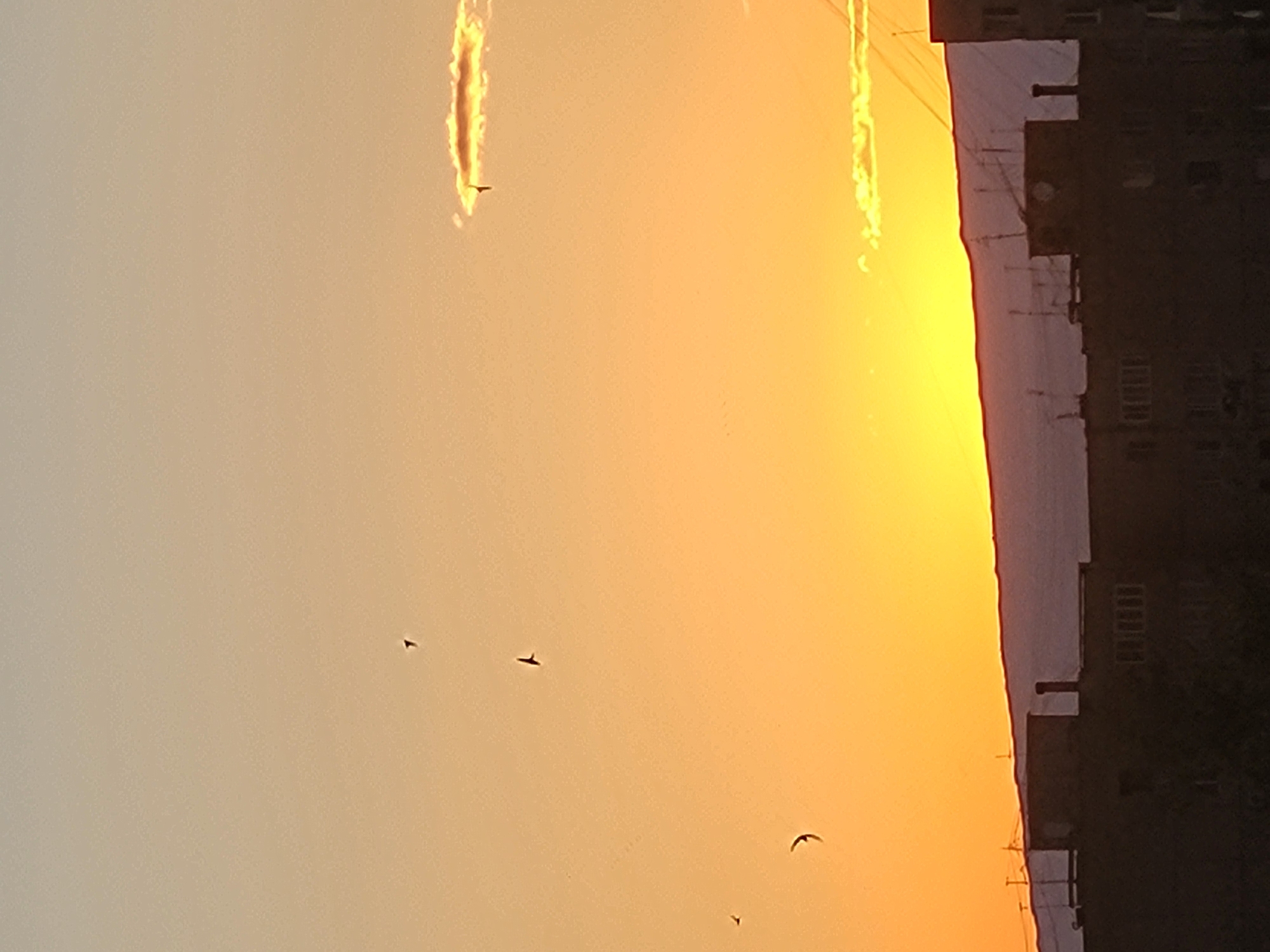 The image depicts a sunset in Yerevan, Armenia. In the foreground and middle ground are a few birds silhouetted against the golden sky. An urban building is seen on the right side of the image, appearing in silhouette against the sunlight, potentially obscuring part of the skyline. There are also traces of airplane contrails visible.