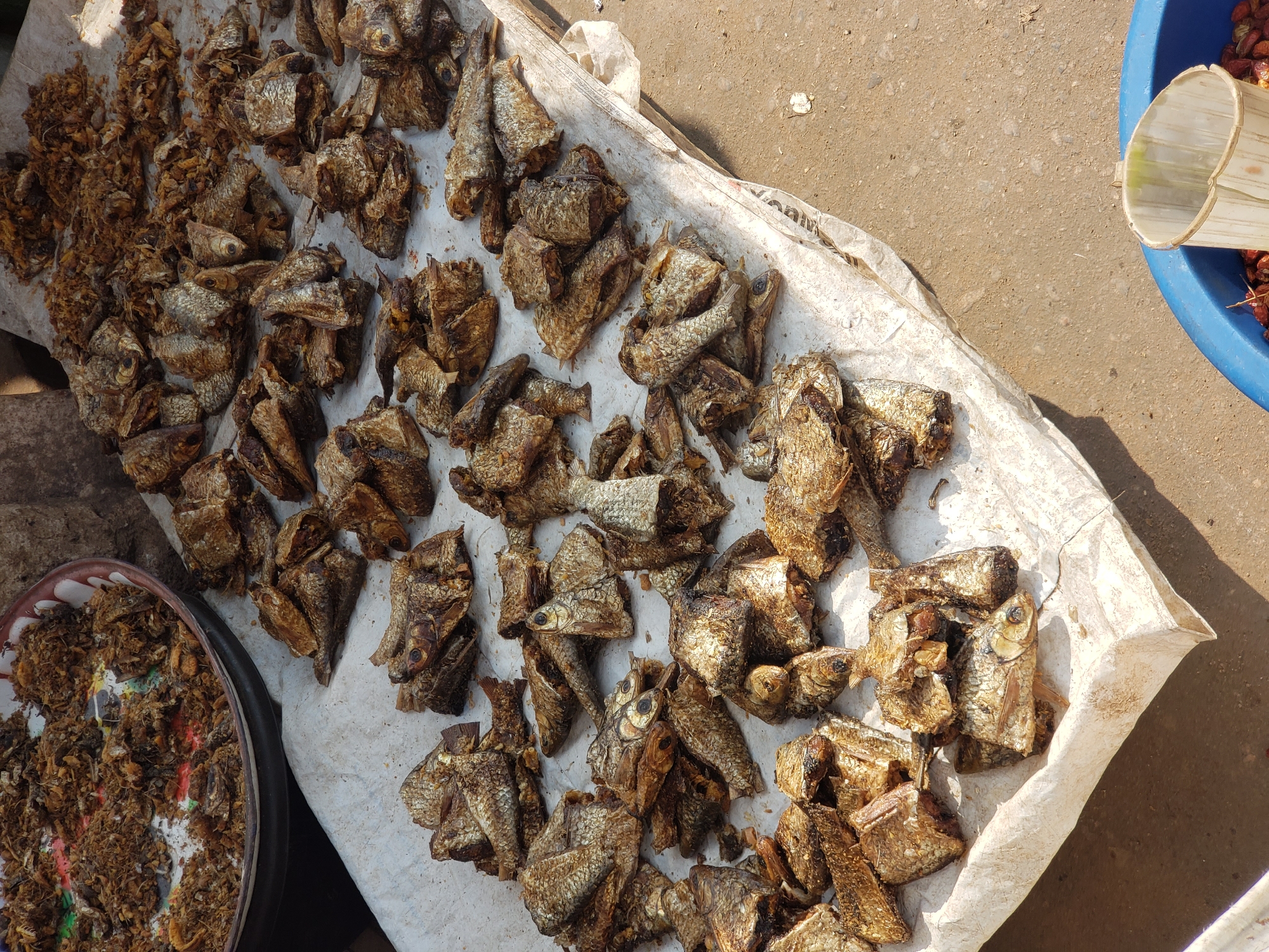 A market stall displays a large quantity of dried fish on a white tarp spread over the ground in Sabon Tasha, Nigeria. The fish are whole and appear to be of various sizes, all uniformly golden brown and crispy from the drying process. Some piles are neatly arranged, while others are more scattered. In the background, a bowl filled with more dried, shredded fish or possibly a spice mix is visible. The ground surrounding the stall is dirt and gravel. A blue plastic basin containing what appear to be small red peppers or berries and a white plastic cup sits in the foreground to the right. The lighting suggests it is daytime with shadows cast on the ground. There are no people visible in the image.