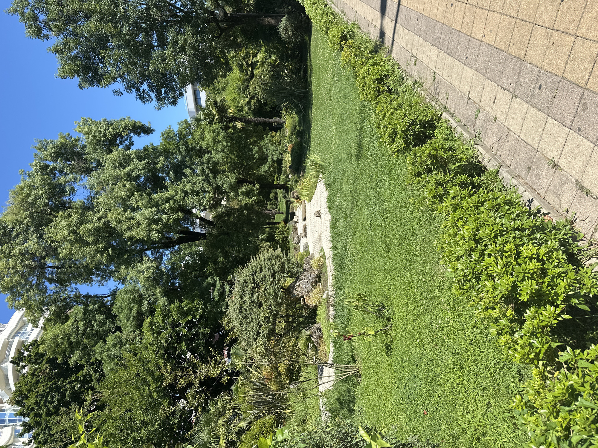 The image depicts a well-maintained park in Sochi, Russia, under a clear blue sky. A paved walkway with a light brown and gray checkered pattern runs along the right side of the frame, bordered by a low, neatly trimmed hedge of green bushes. Beyond the hedge, a lush green lawn stretches into the park. In the middle ground, a Japanese-style garden features a dry stream bed or rock garden area with light-colored stones and some sparse vegetation, surrounded by more manicured grass. A variety of trees, including large deciduous trees with full canopies and palm trees, are interspersed throughout the park, creating a sense of depth and lushness. In the background, a modern white building with curved balconies and windows is partially visible, peeking through the trees, suggesting an urban or resort setting. The overall scene is one of a peaceful, sunny day in a verdant public space.