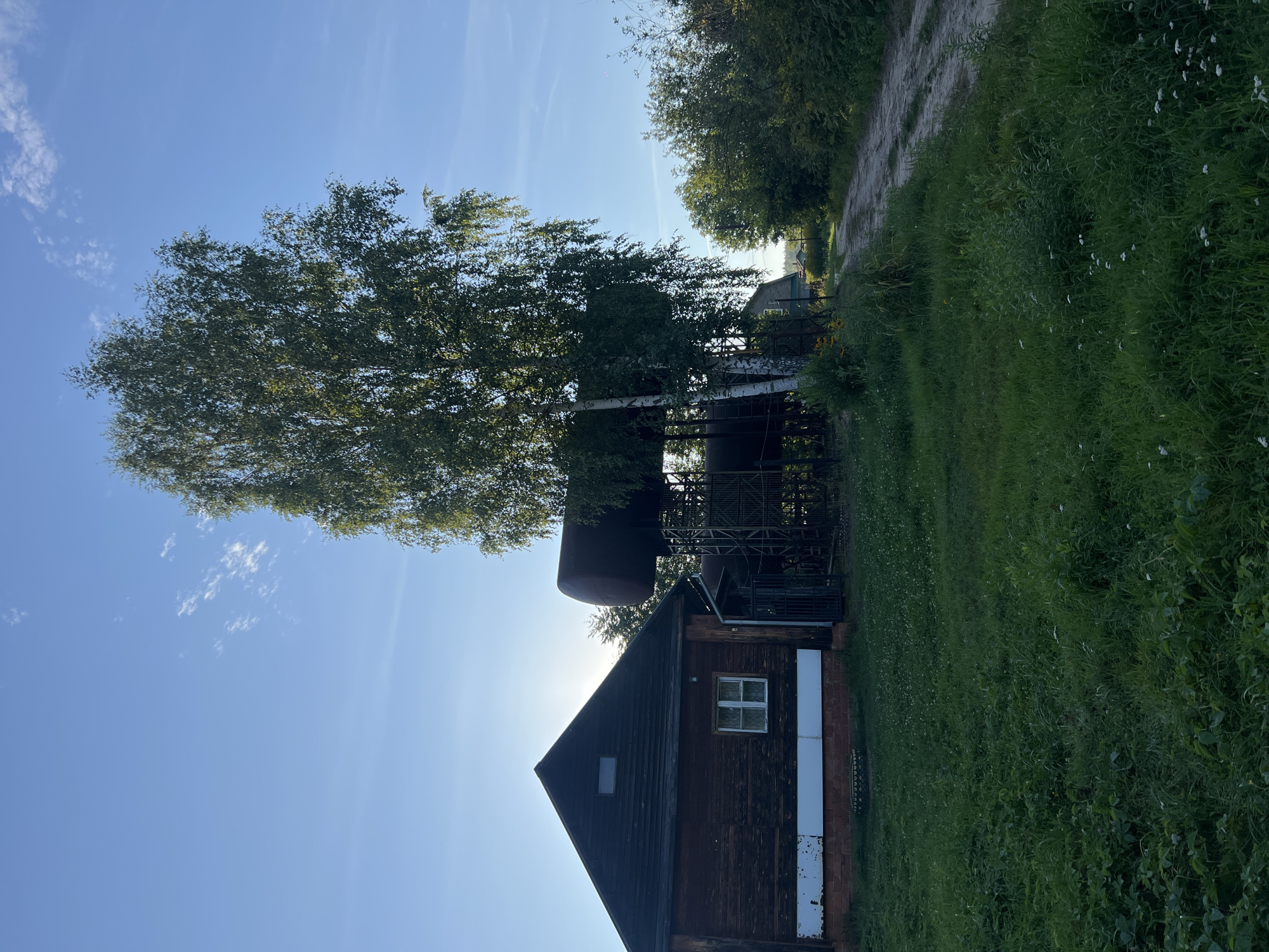 The image depicts a rural scene in Strakhovo (Sitnikovskii S/S), Russia, under a clear blue sky with sparse white clouds. In the foreground, a grassy area with scattered white wildflowers leads to a dirt road. To the left, a weathered wooden house with a dark roof and a white-trimmed base is visible. It has a small, multi-paned window. Adjacent to the house and partially obscured by a tall birch tree, a large, dark cylindrical tank is elevated on a metal framework. A second, similar tank is visible beneath it. The birch tree, with its distinctive white bark and full green foliage, stands prominently in the mid-ground. The dirt road curves away into the distance, flanked by lush green trees and bushes. The overall impression is one of a serene, somewhat rustic, and undeveloped rural environment. There are no people or animals visible in the frame.
