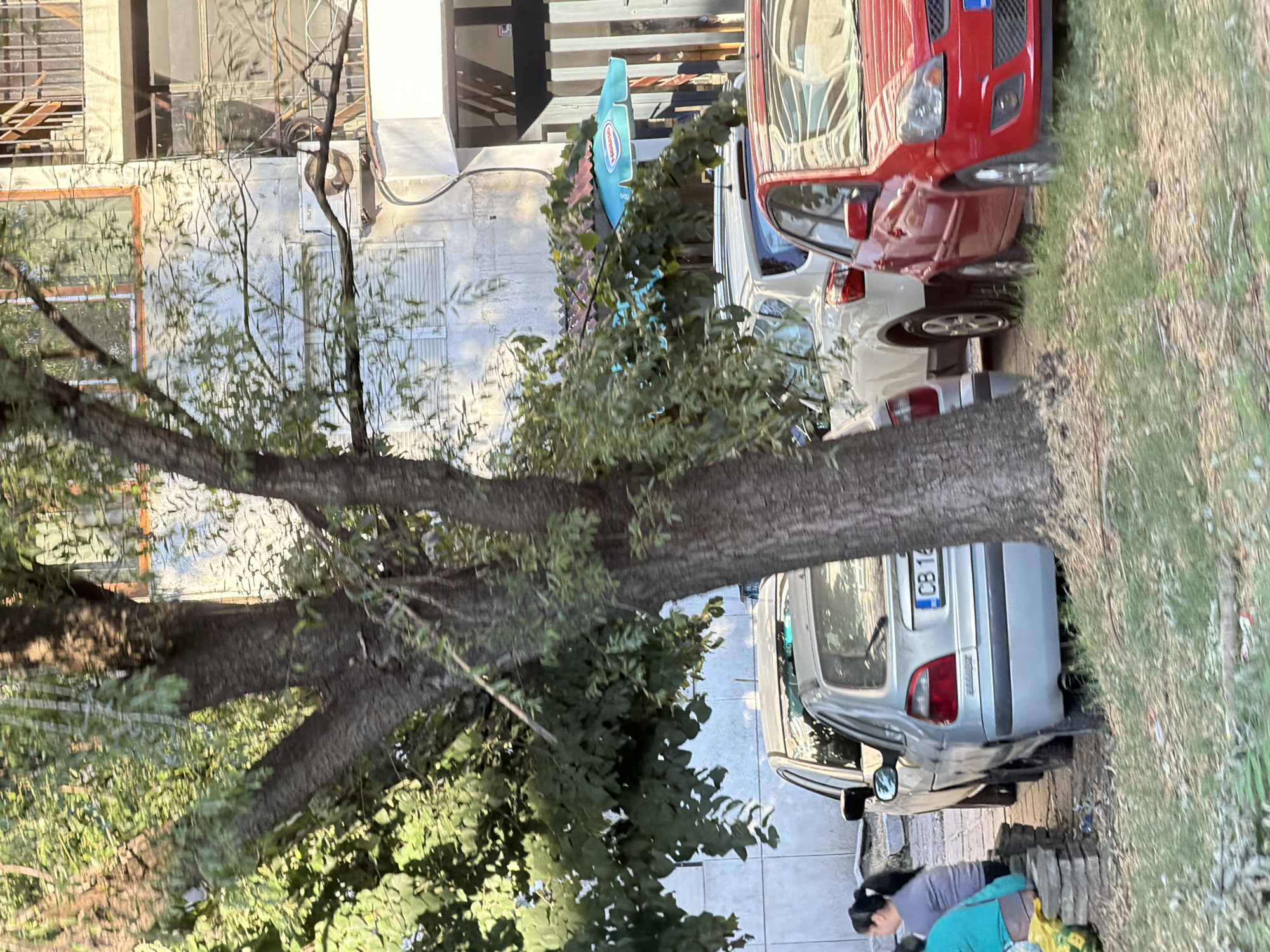 The image depicts a street scene in Plovdiv, Bulgaria, with a focus on parked cars and a large tree. In the foreground, a silver car with license plate "CB 16" is prominently displayed, parked alongside a white SUV and a red car. A woman is seated on stacked concrete blocks to the left of the silver car, facing away from the camera. Behind the cars, a building with multiple windows and balconies is visible, with an air conditioning unit mounted on the exterior wall. A turquoise umbrella is positioned near the building, partially obscured by foliage. The ground is covered with dry grass and debris. The lighting suggests it is daytime, with sunlight filtering through the tree's leaves.