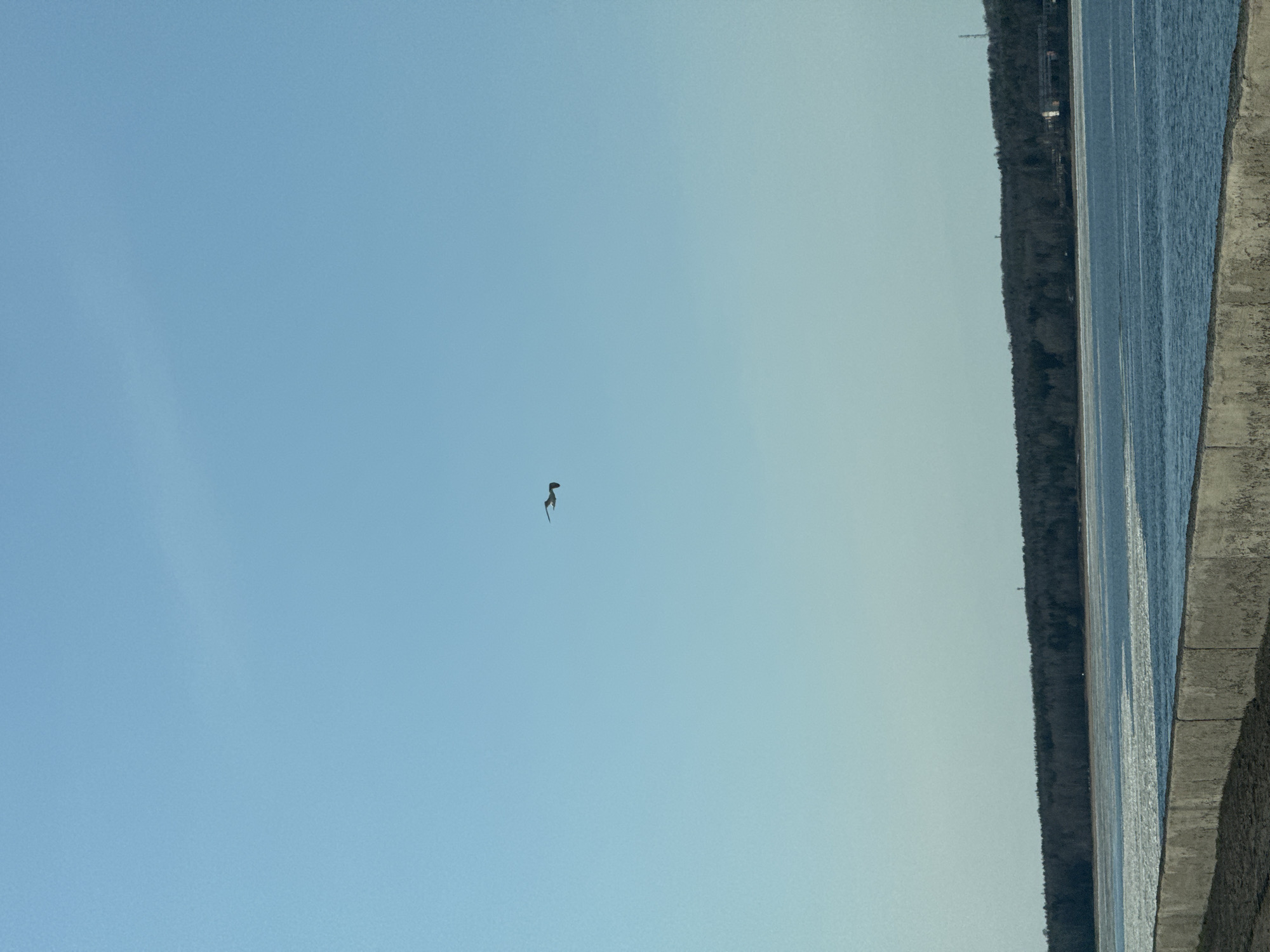 A view of the sky over Chaikovsky, Russia, with a small object in the sky resembling a bird or possibly a kite. The sky is blue. A line of trees, water, and a concrete structure are on the right side of the image. The image has been rotated.
