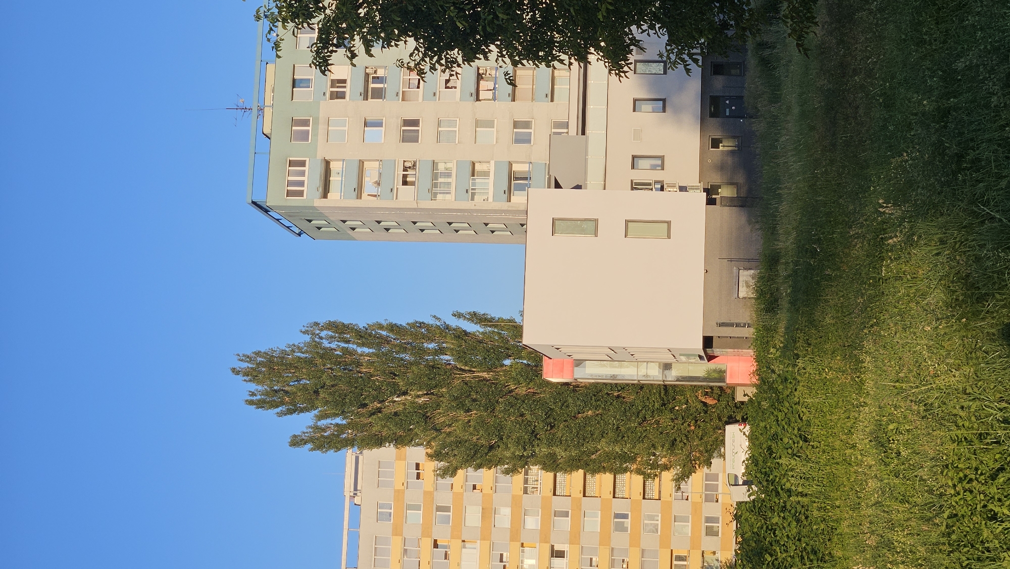 The image captures a section of an urban landscape on a clear, sunny day. In the background, two tall residential buildings stand against a bright blue sky. The building on the left is predominantly yellow with rows of white windows and balconies. Adjacent to it, and slightly closer to the viewer, is a tall, slender tree with dense green foliage. To the right of the tree is a newer, modern building with a light-colored facade, featuring dark grey accents at its base. This structure is partially overshadowed by a taller, light-blue and grey apartment building that extends upwards towards the sky, displaying multiple levels of windows and balconies. In the foreground, a patch of tall, green grass and weeds occupies the lower portion of the frame, suggesting an undeveloped or natural area within the city. The scene appears to be a residential neighborhood.
This scene is located in the Sekčov housing estate, specifically in the area of the former Hotel Dukla, which is now part of a revitalized urban development in Prešov, Slovakia. The modern building in the foreground is part of the reconstruction project of the former hotel's premises.